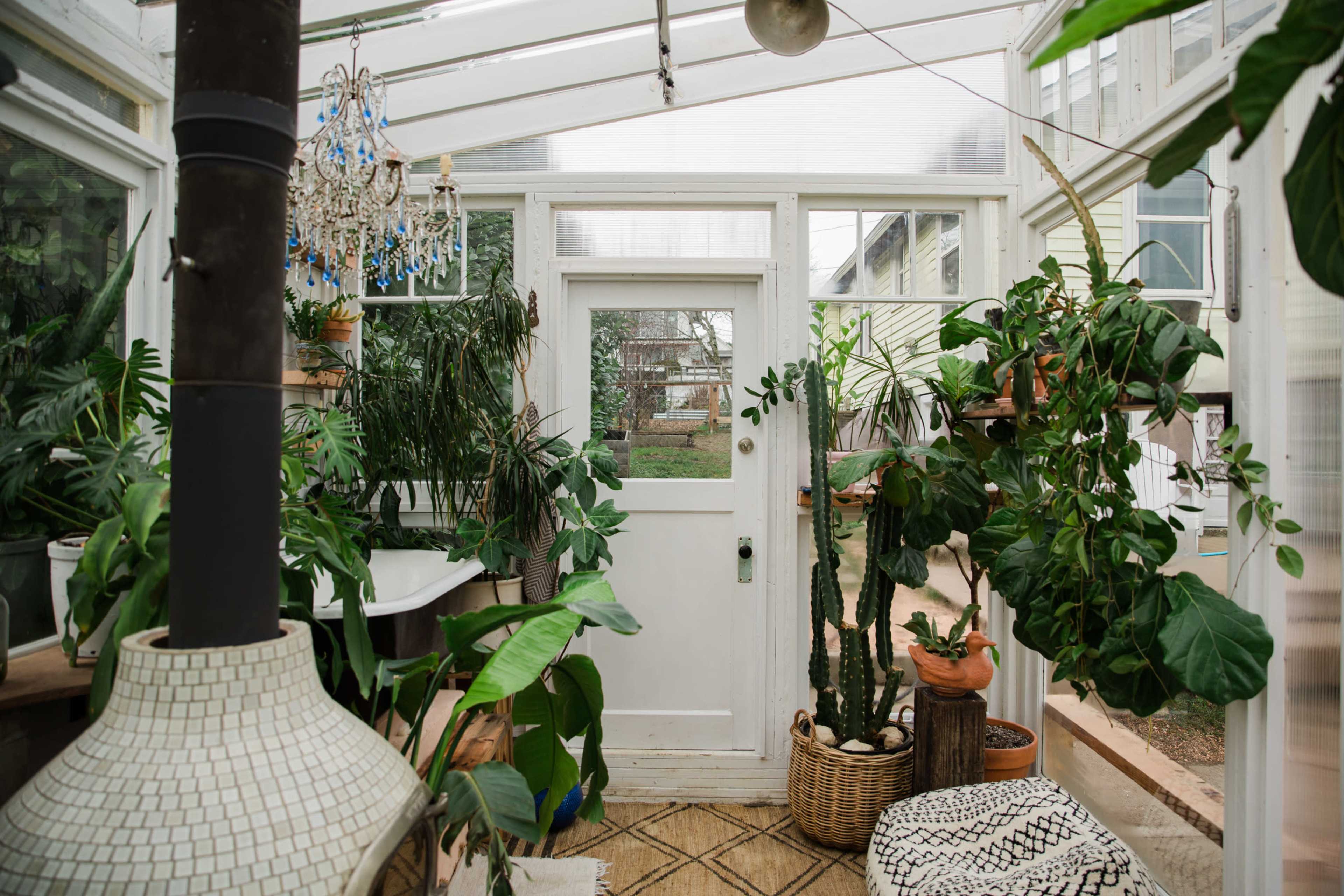 A greenhouse interior with various plants in pots, a chandelier hanging from the ceiling, and a white door leading to an outdoor area.