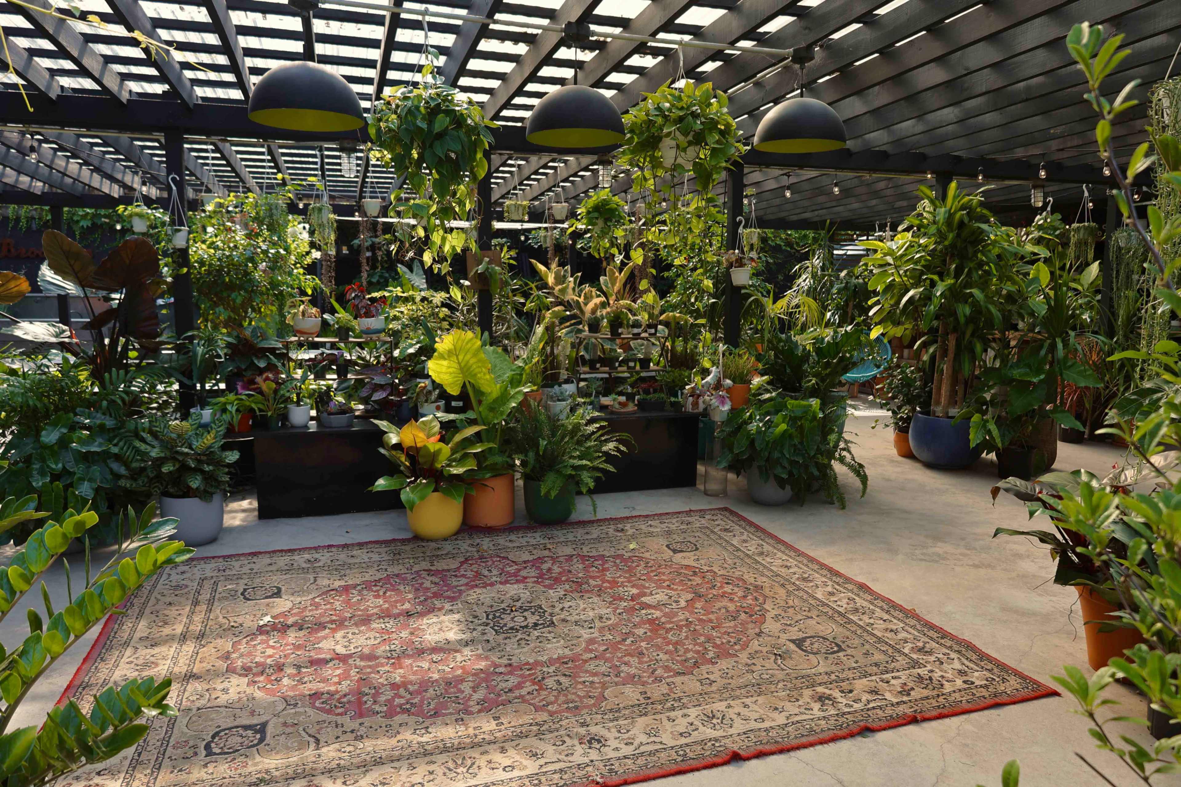 Unique And Versatile Outdoor Space With Luscious Garden Image in Clinton Hill, Brooklyn, NY