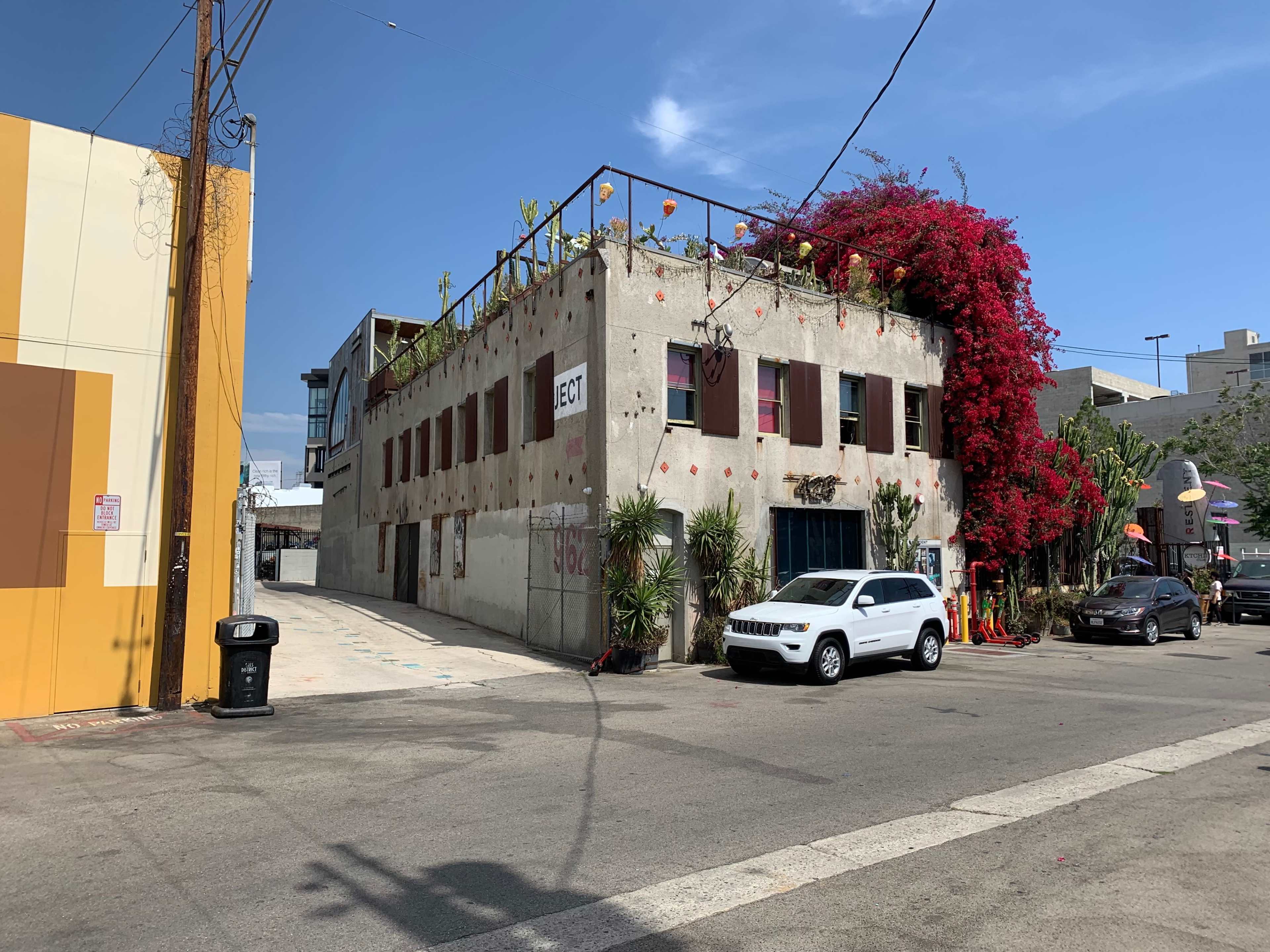 A concrete building with a rooftop garden and vibrant bougainvillea overlooks a street intersection.