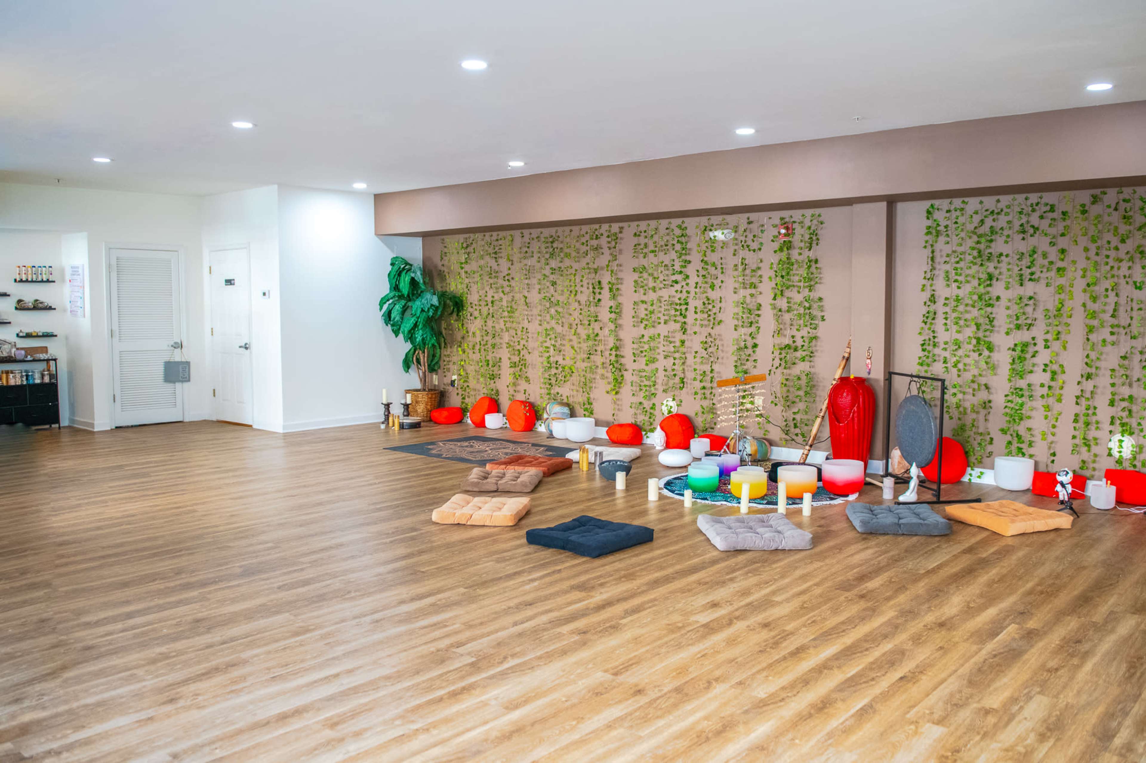 Balance and Bliss Studio: A Sanctuary   for Wellness Image in Downtown, Norfolk, VA