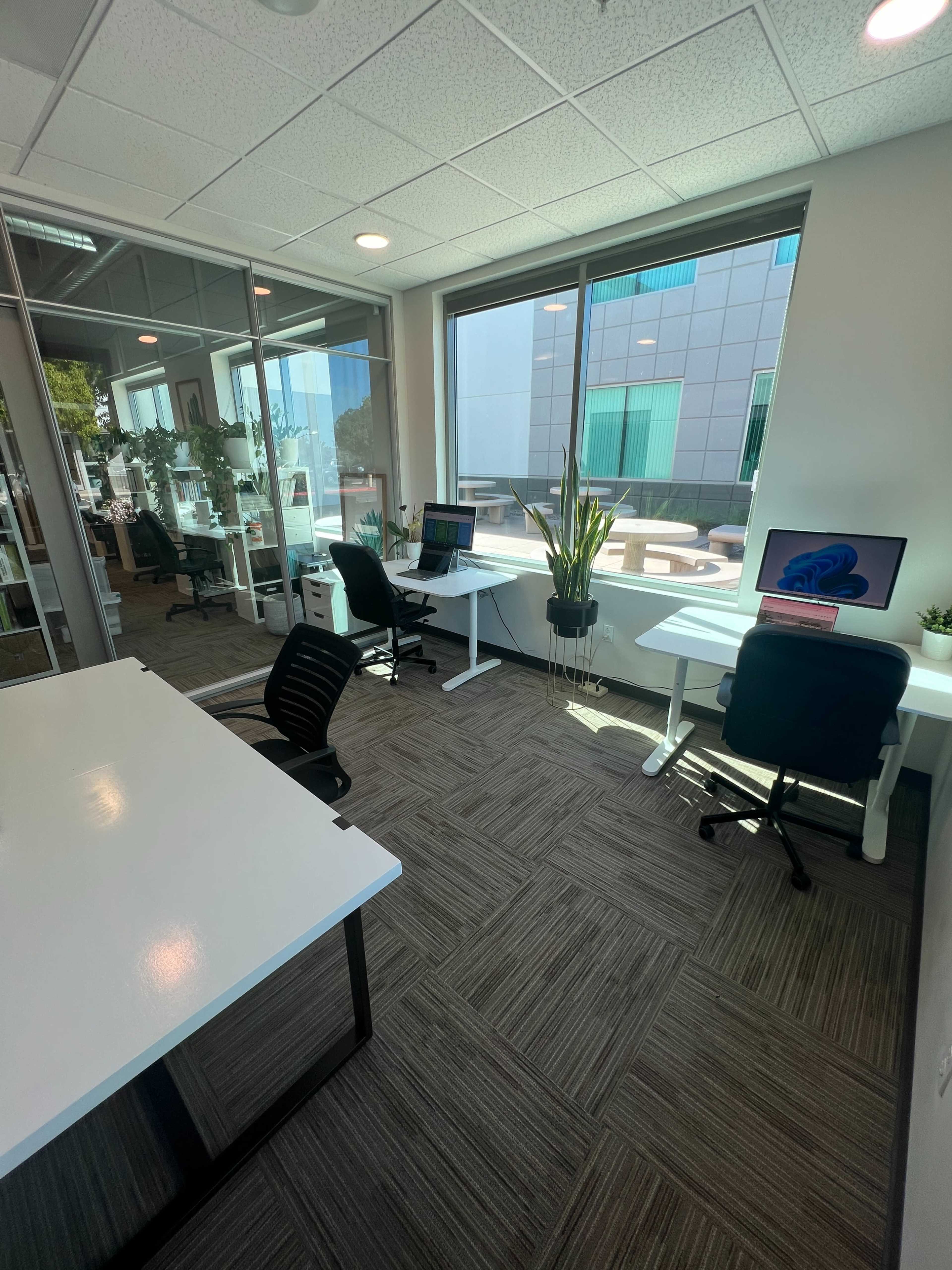 The image shows an office space with two desks positioned near large windows, accompanied by indoor plants and modern chairs.