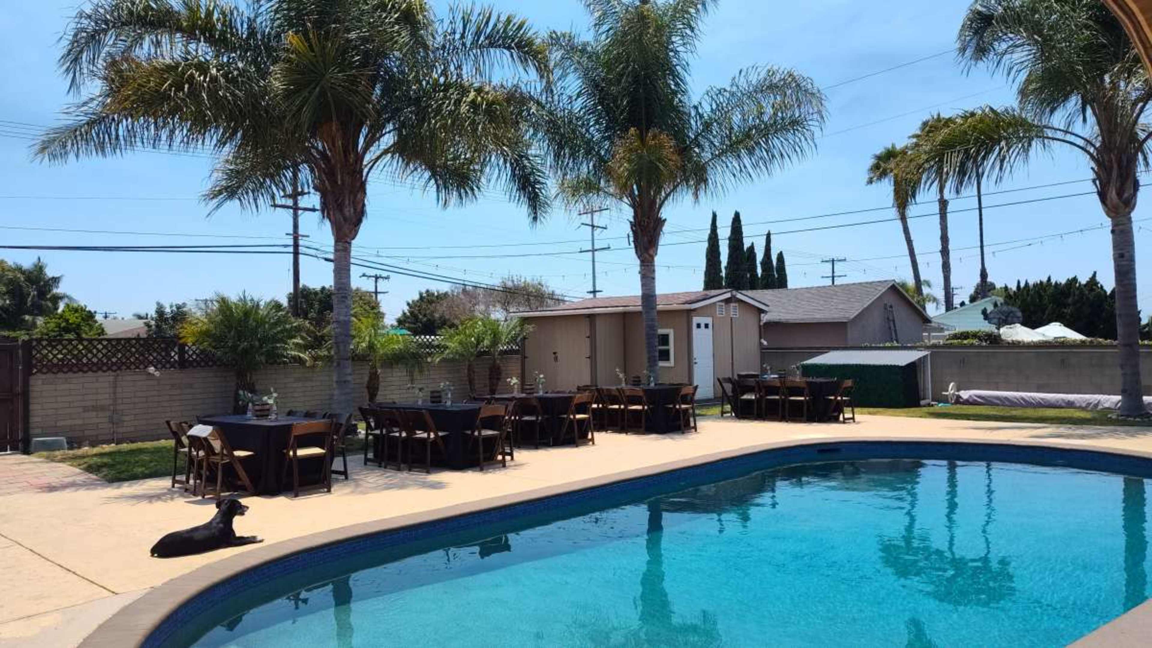 A backyard features a clear swimming pool surrounded by palm trees and several tables set up for an outdoor event.