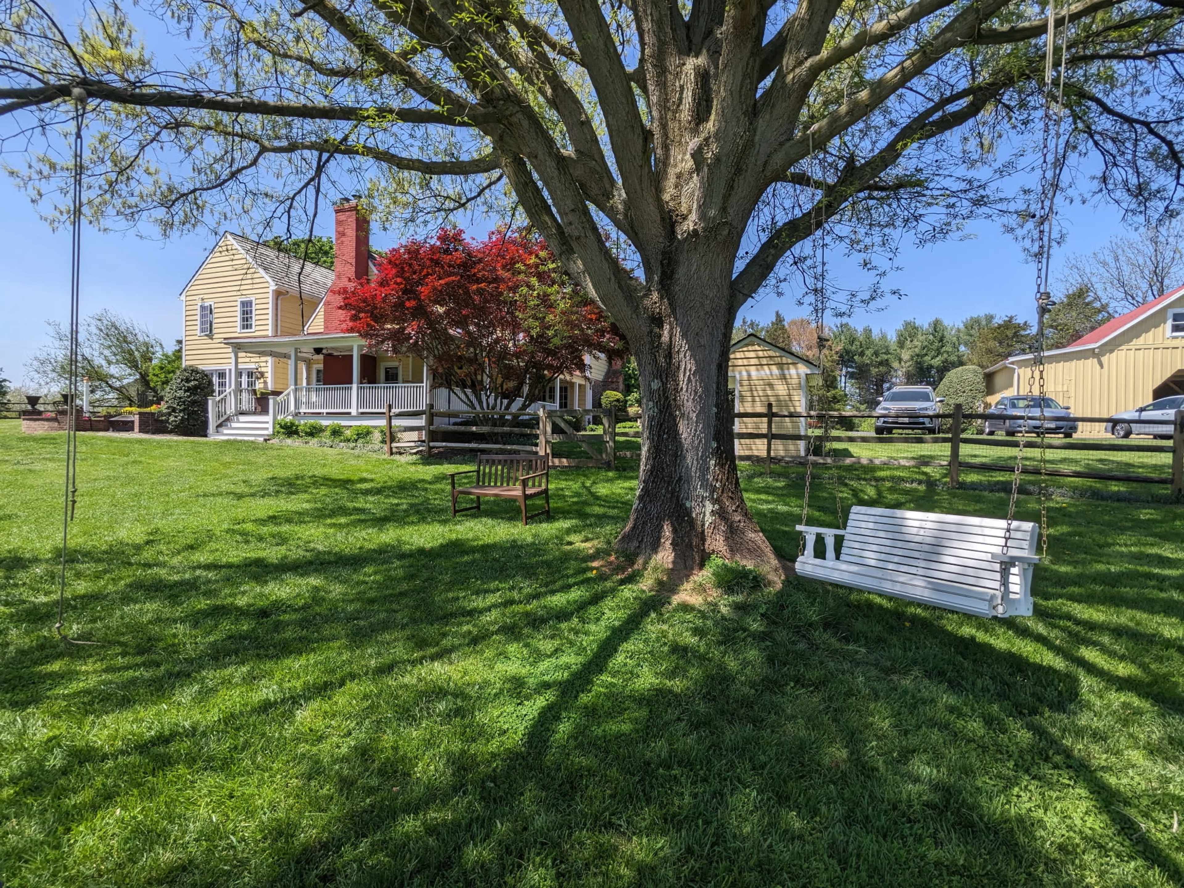 A large tree with a swing and bench provides shaded seating in a grassy yard next to a yellow house with a red tree in front.