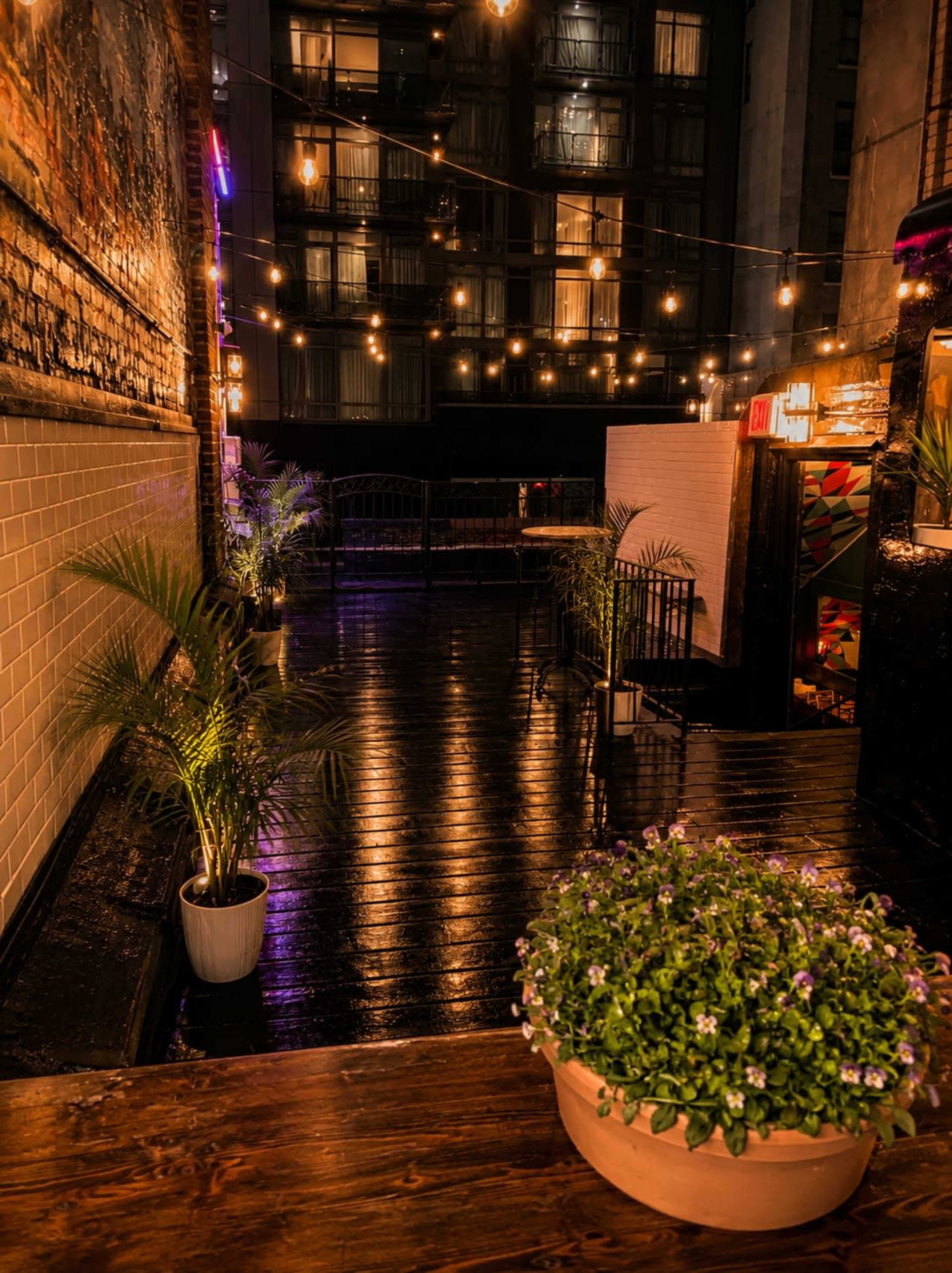 A dimly lit outdoor space featuring string lights, potted plants, and a wooden deck reflecting the surrounding buildings.