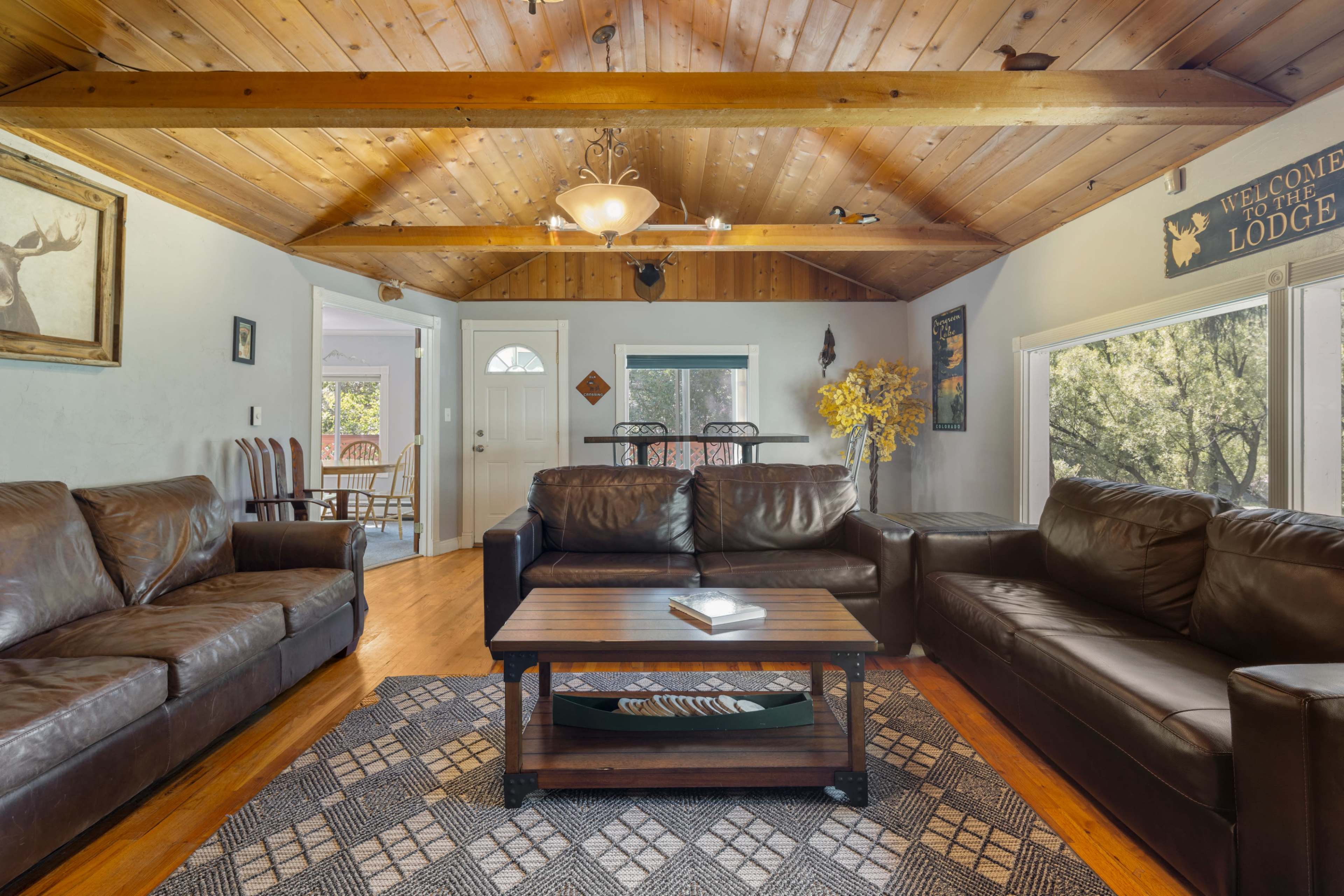 The Dam Overlook on Cub Creek in Evergreen Image in Evergreen, Evergreen, CO