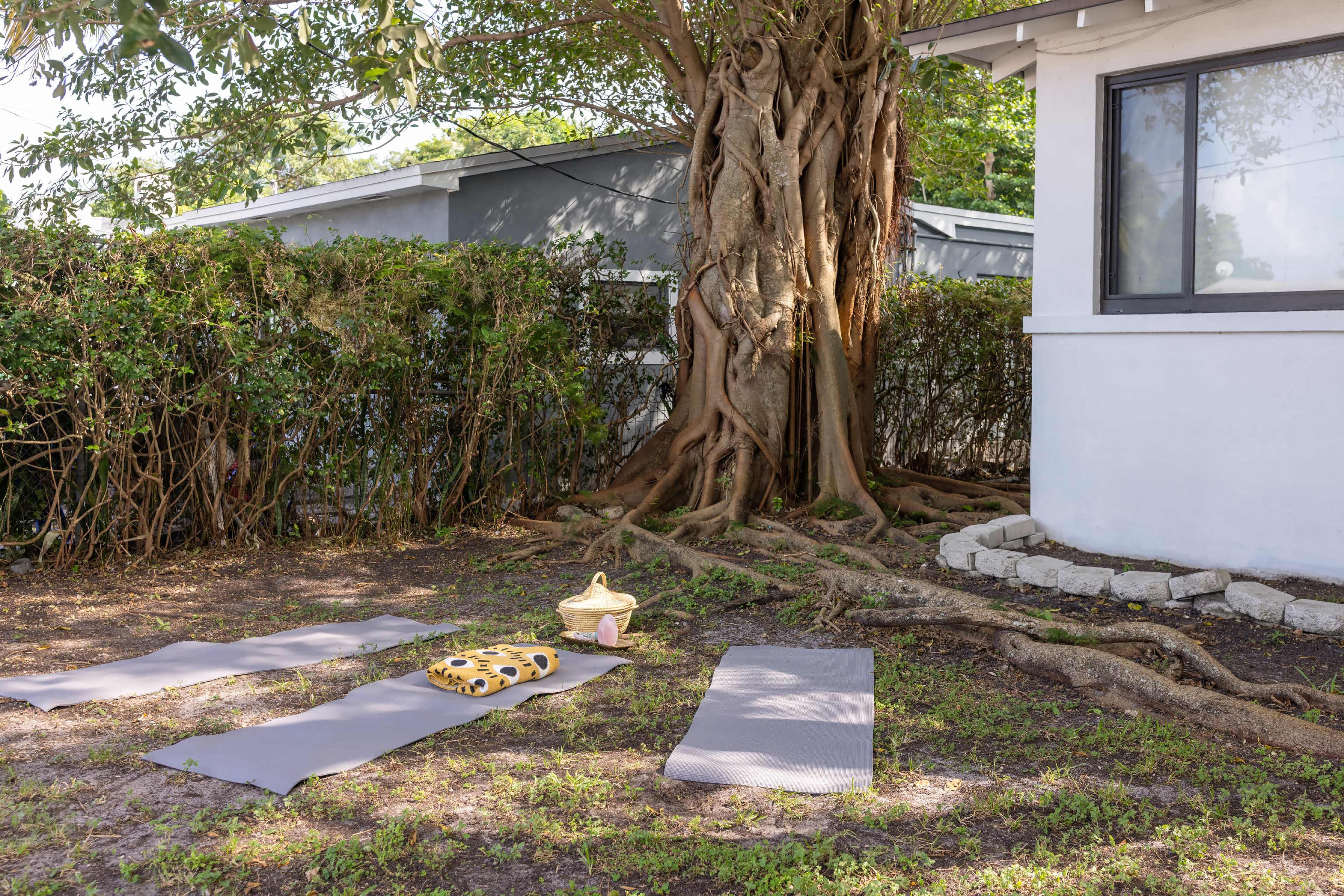 The image shows a peaceful outdoor yoga setup with two exercise mats placed under a large tree beside a house, surrounded by green hedges.