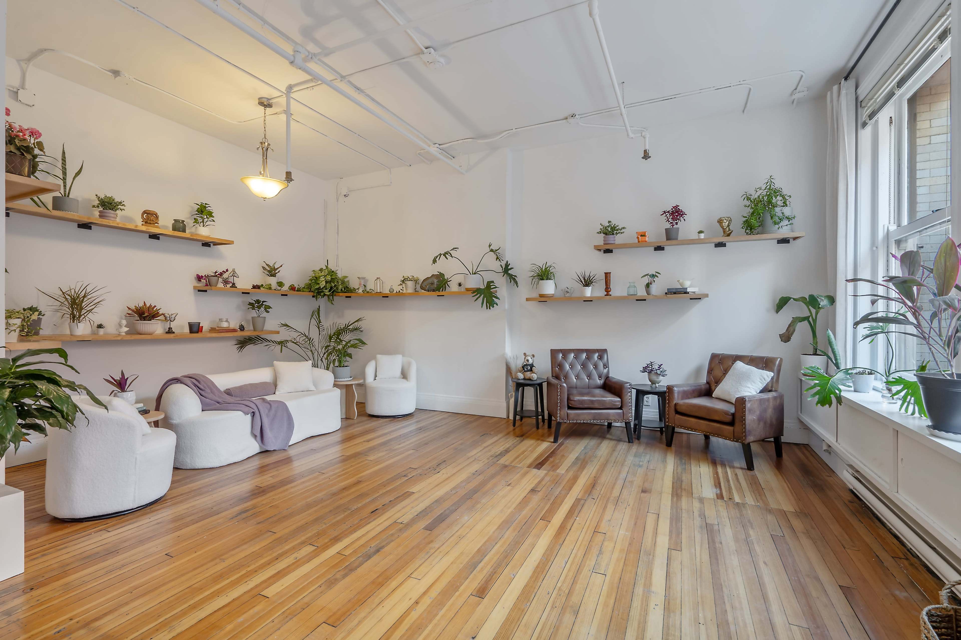 The image shows a bright, minimalistic room with wooden floors, featuring shelves filled with potted plants and two seating areas.
