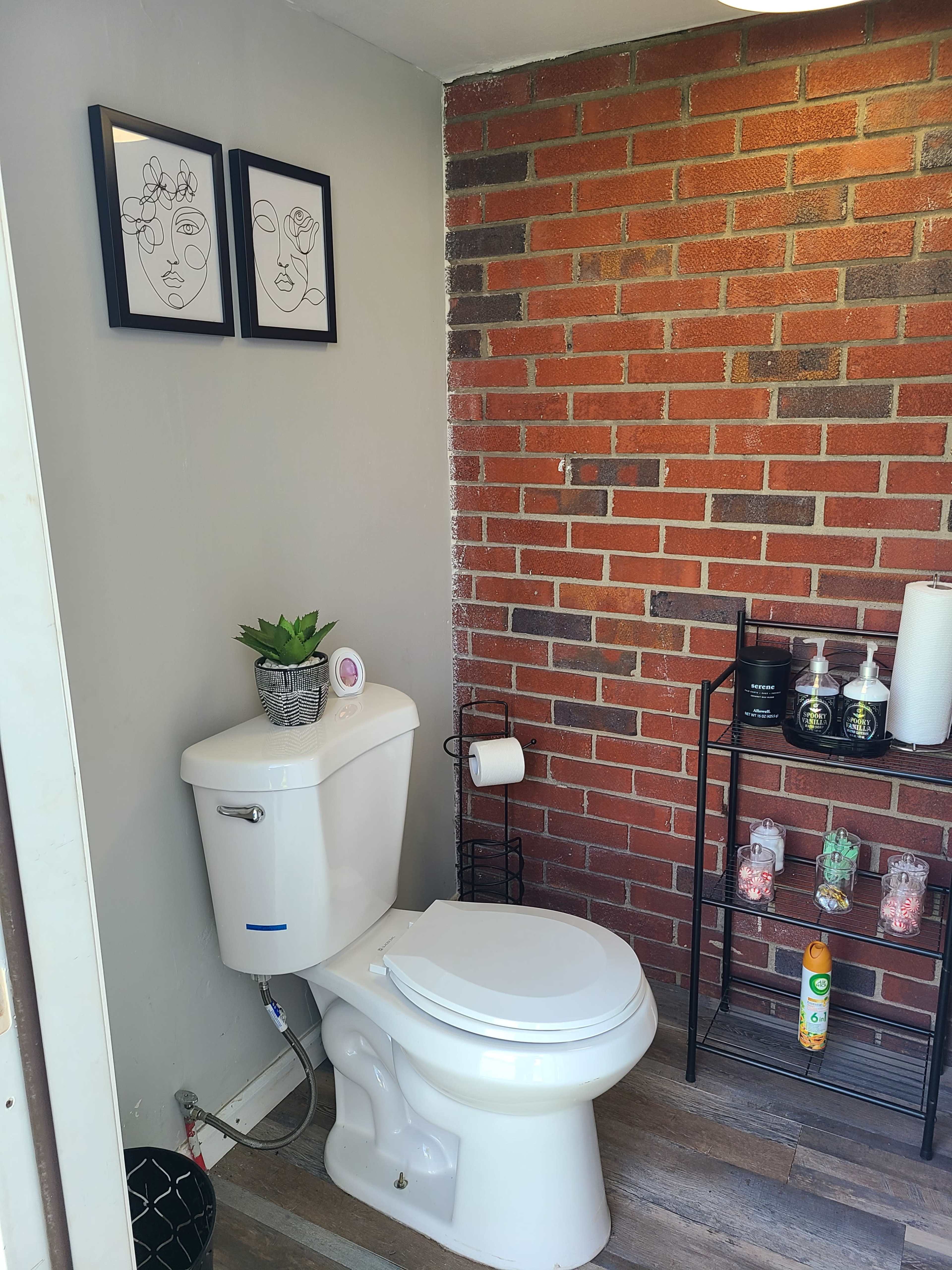 A small bathroom with a white toilet against a brick wall, a potted plant, framed artwork, and a black metal rack holding toiletries.