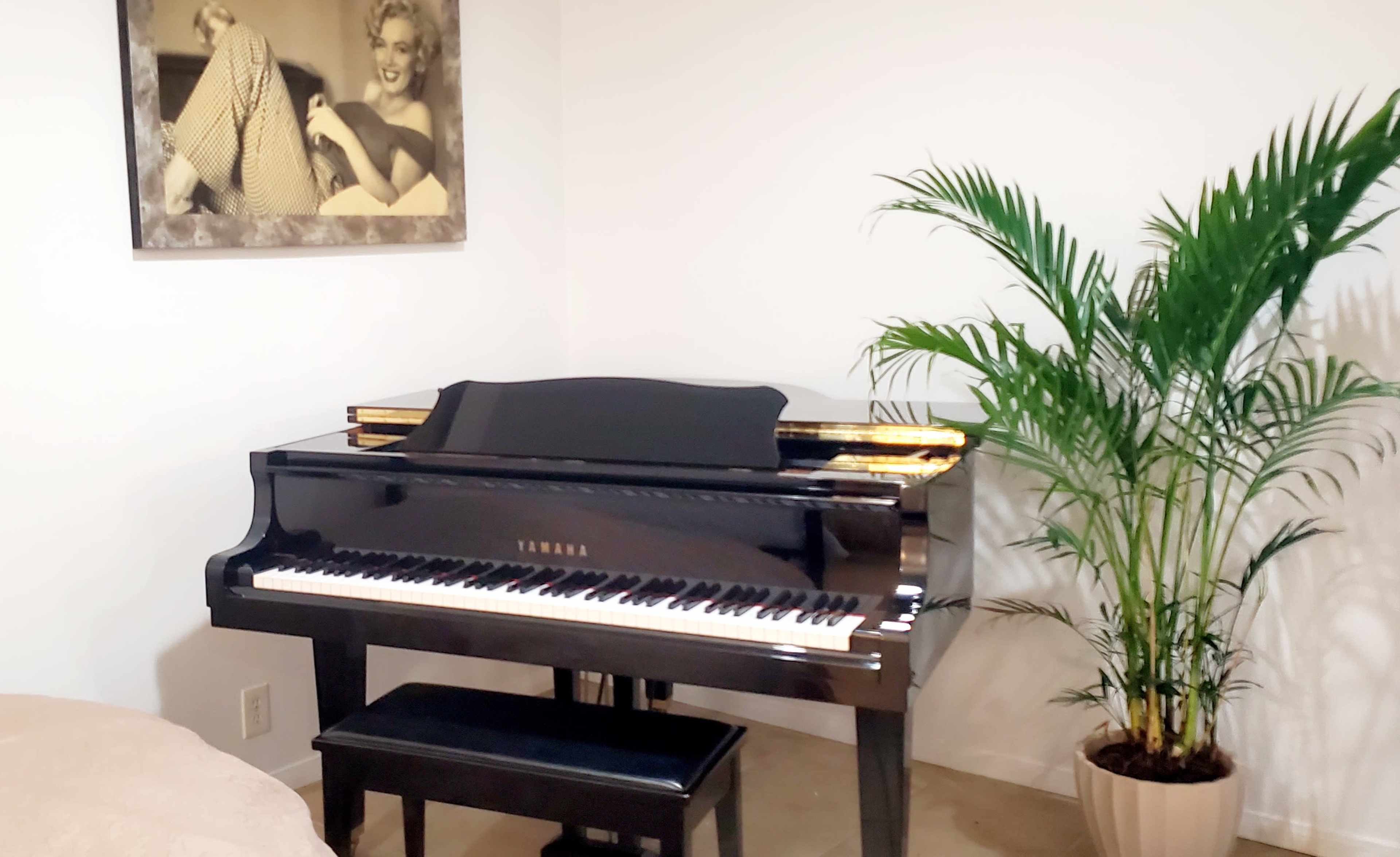 A black Yamaha piano sits beside a potted palm tree in a room featuring a framed black-and-white photo on the wall.