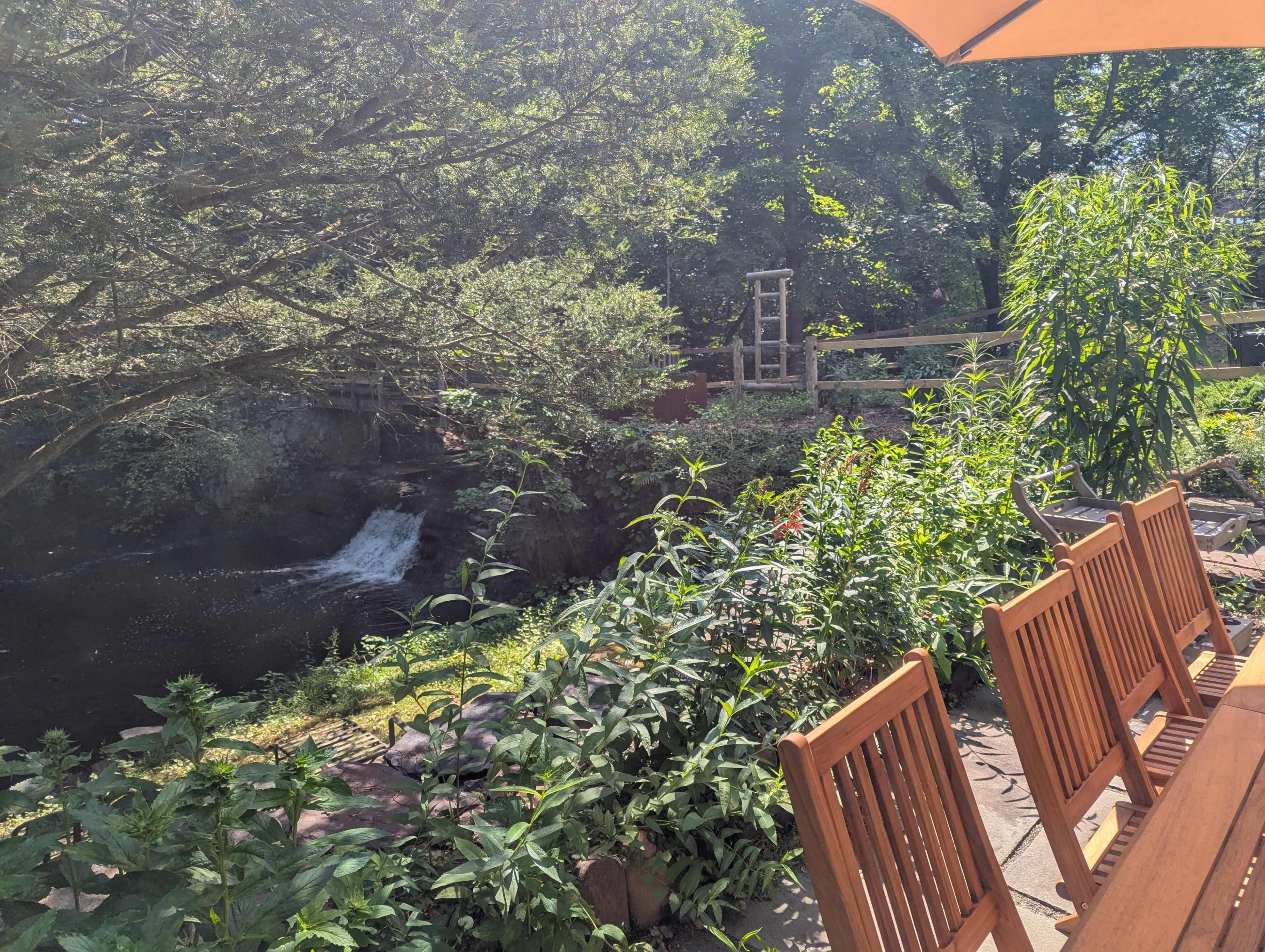 A peaceful garden scene features wooden chairs arranged near a small creek surrounded by lush greenery and trees.