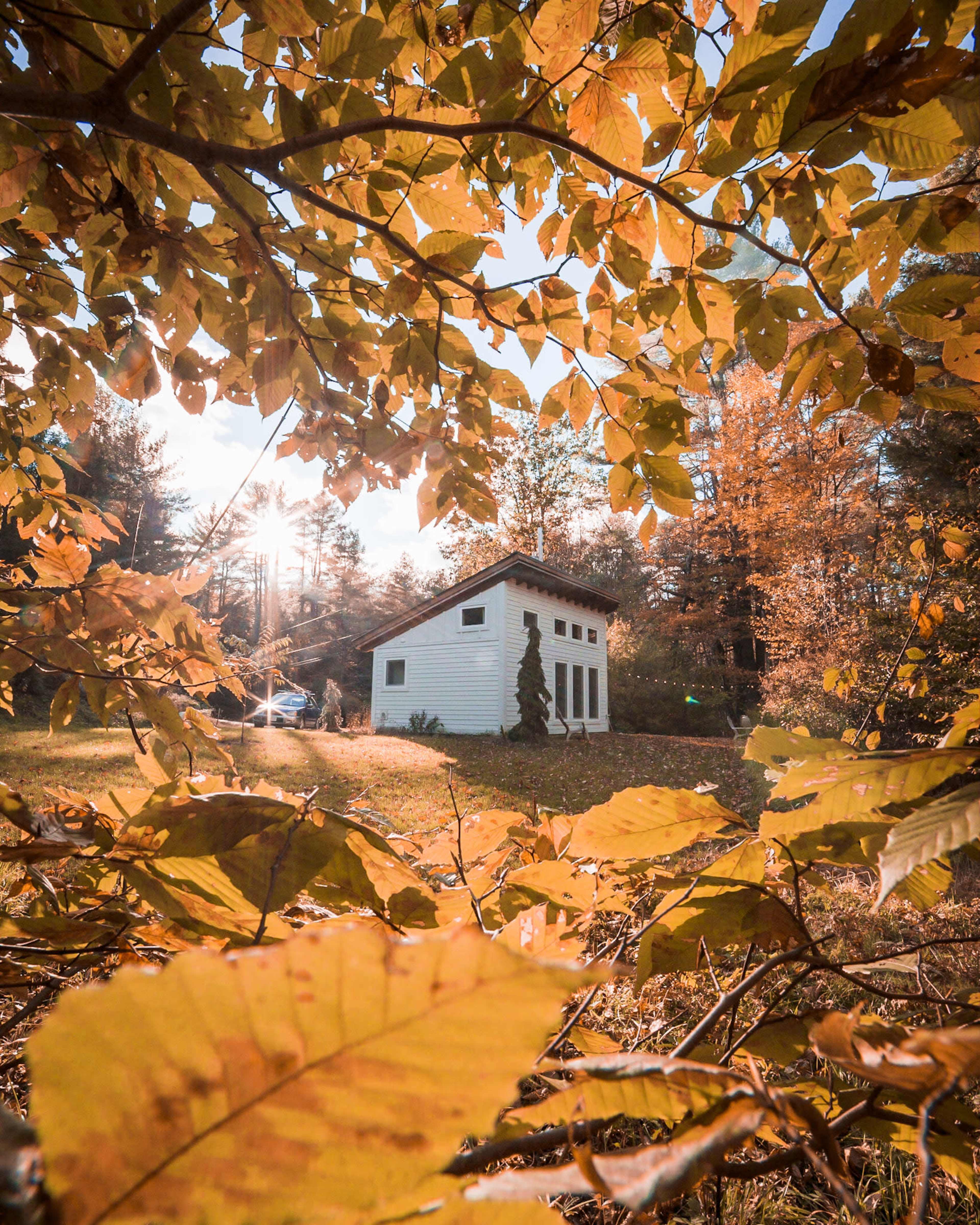 A small white house is visible through autumn leaves in a wooded area, with sunlight filtering through the branches.