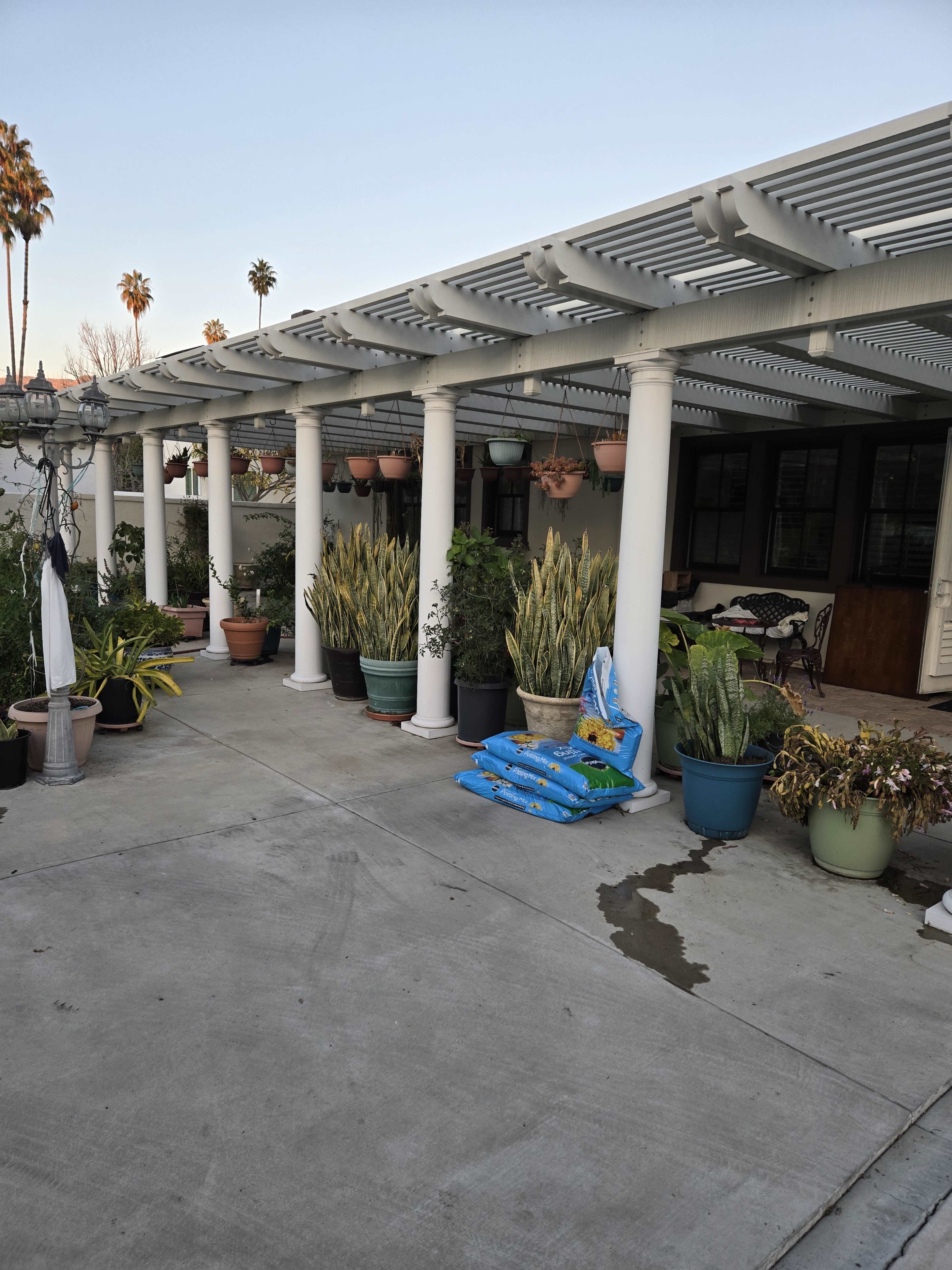 A patio area features several potted plants and flowers arranged along a covered walkway supported by white columns.