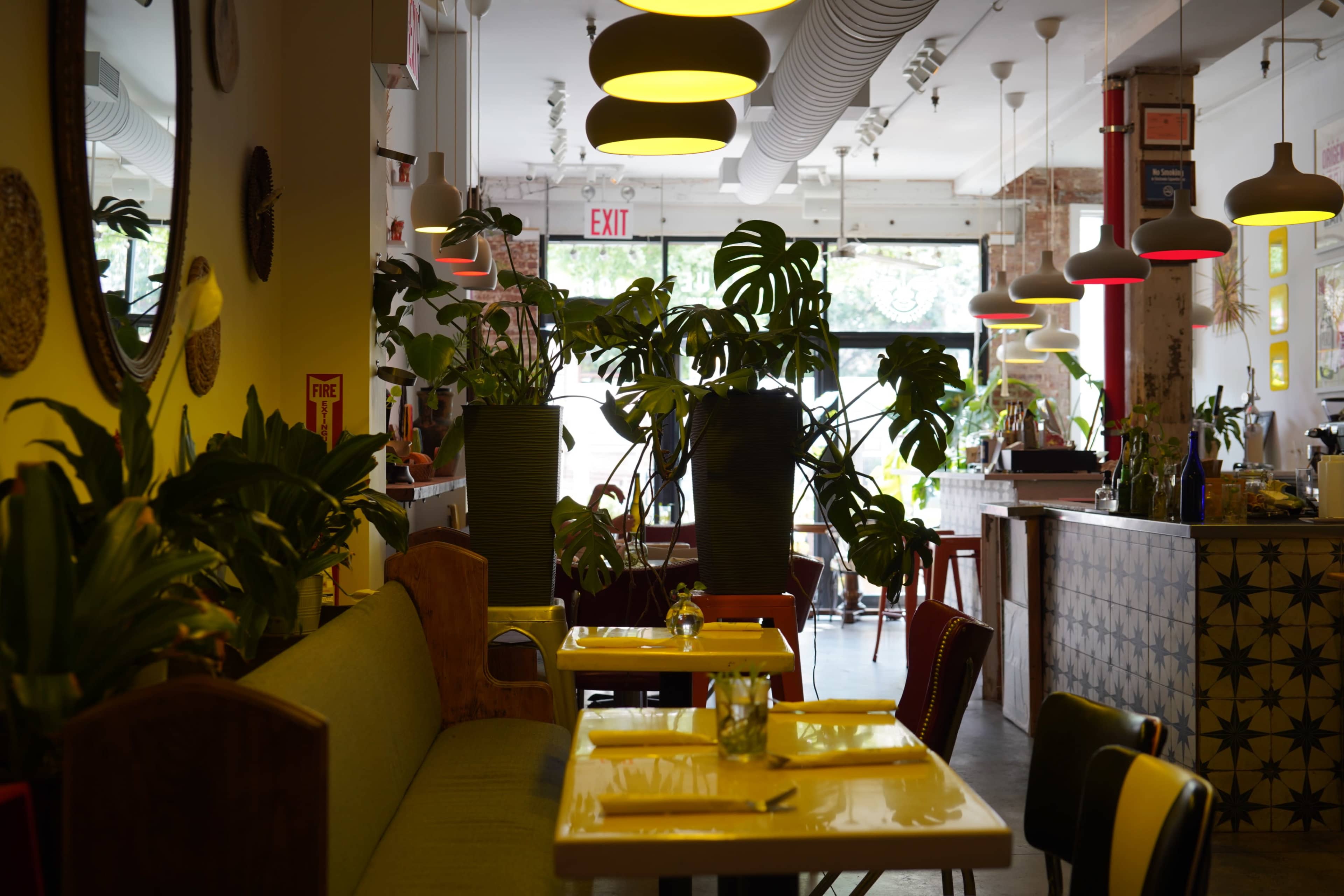 "Williamsburg restaurant with  cozy ambiance  beautiful decor" Image in Williamsburg, Brooklyn, NY