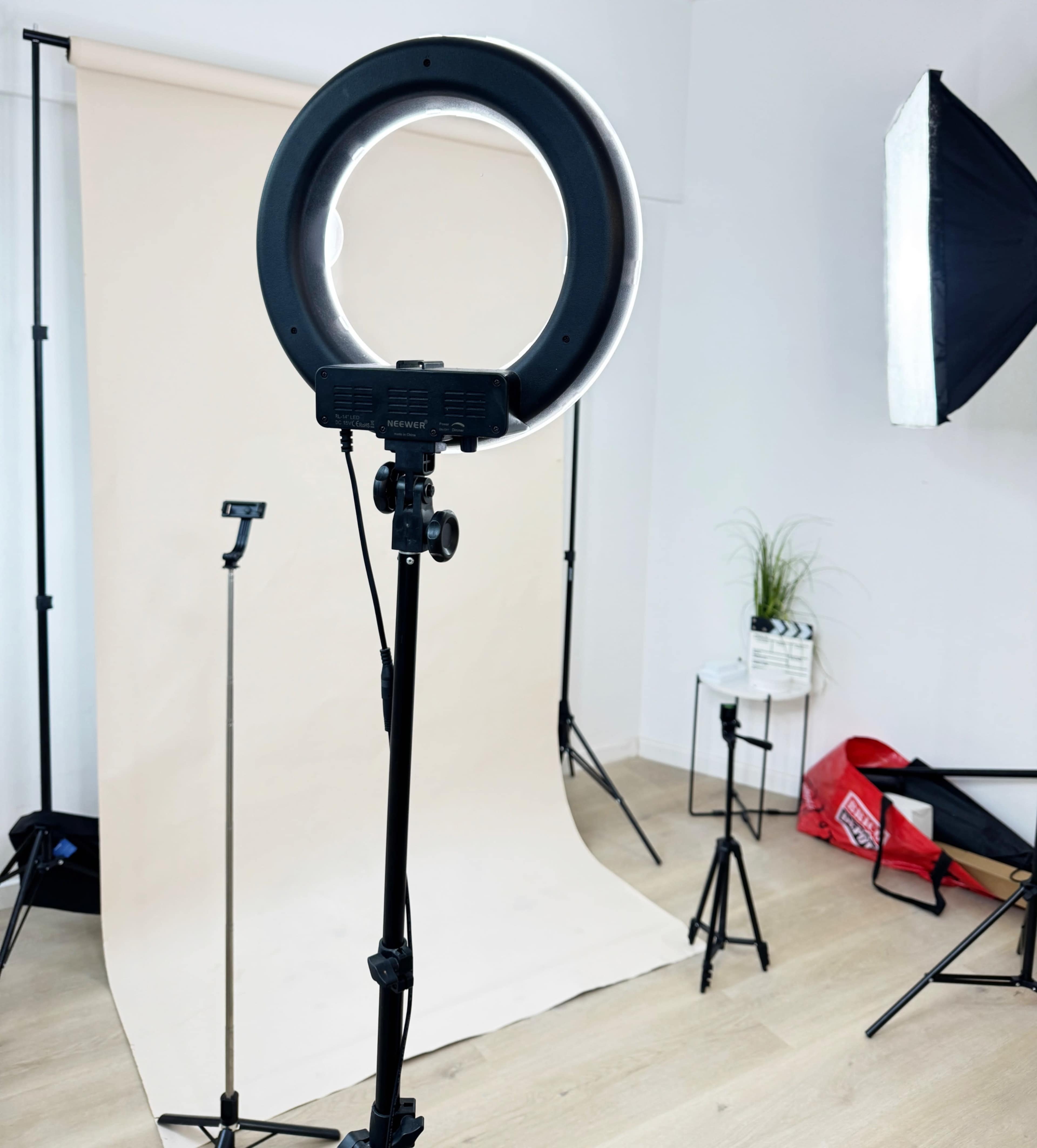 The image shows a photography setup with a ring light, a backdrop, and various light stands in a bright room.