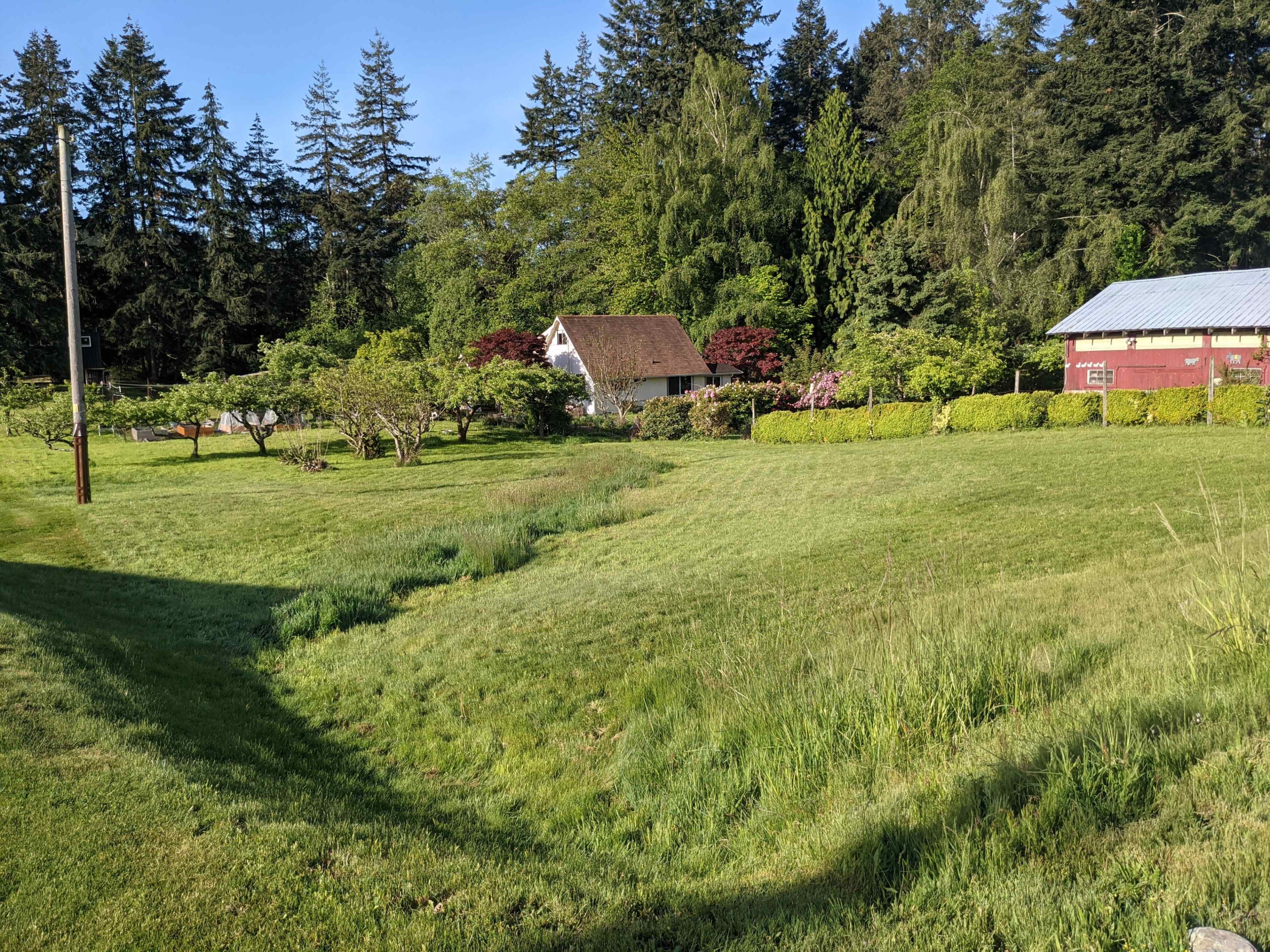 The image shows a grassy area with a small stream running through it, bordered by trees and a house in the background.