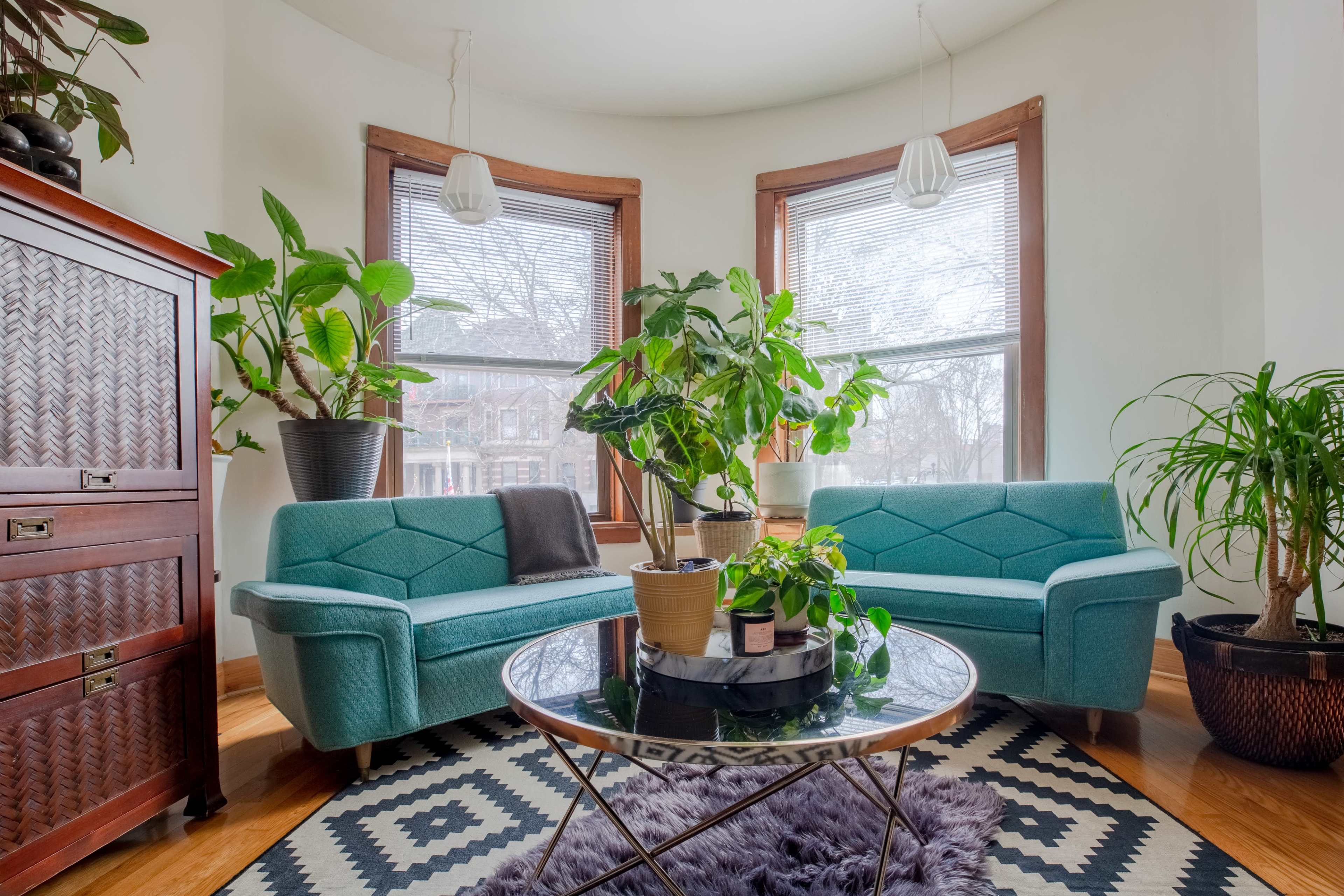 A bright living room features two teal sofas facing a round glass coffee table surrounded by indoor plants and large windows.