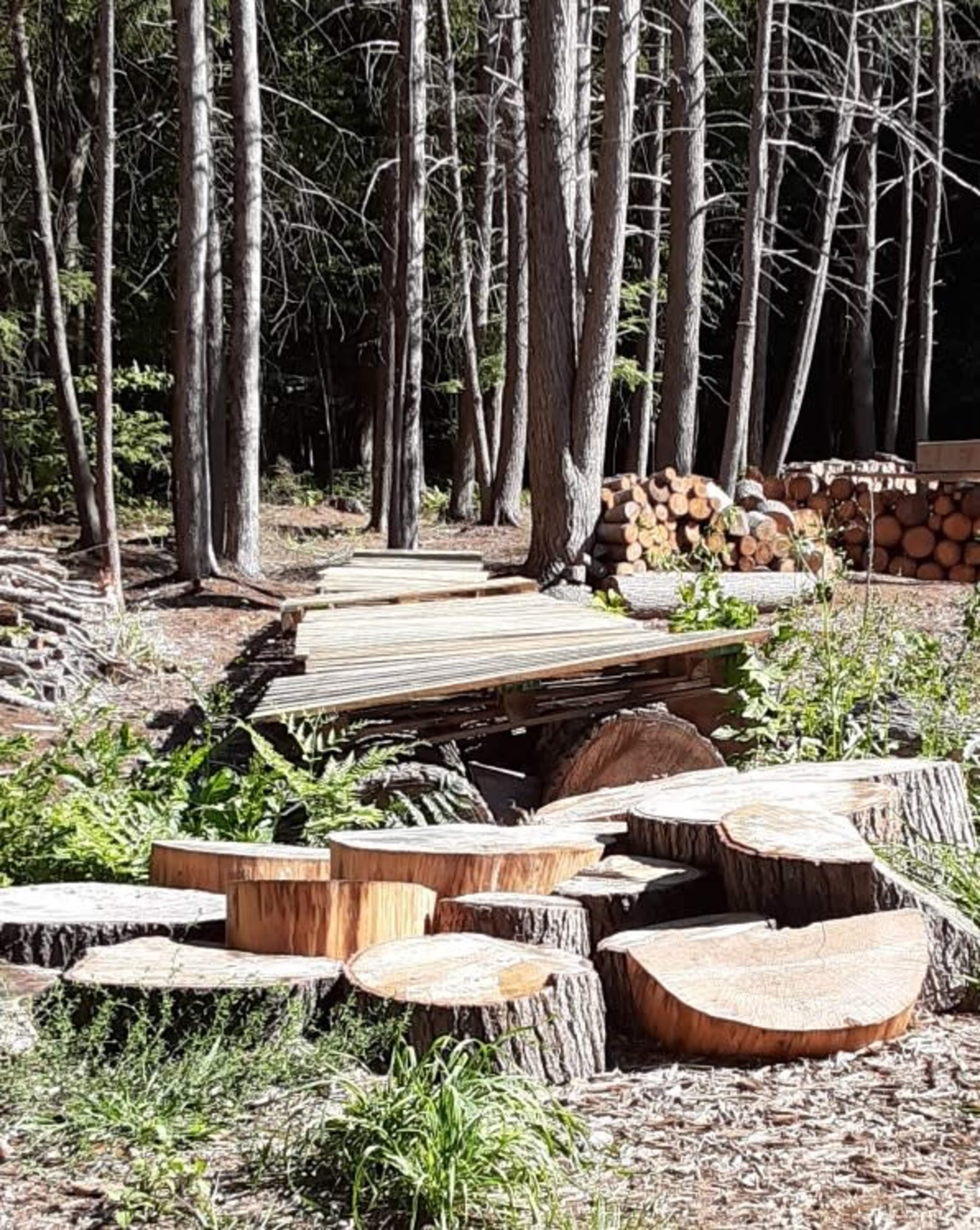 A trail made of wooden planks leading through a forest area with cut tree stumps and stacked logs nearby.