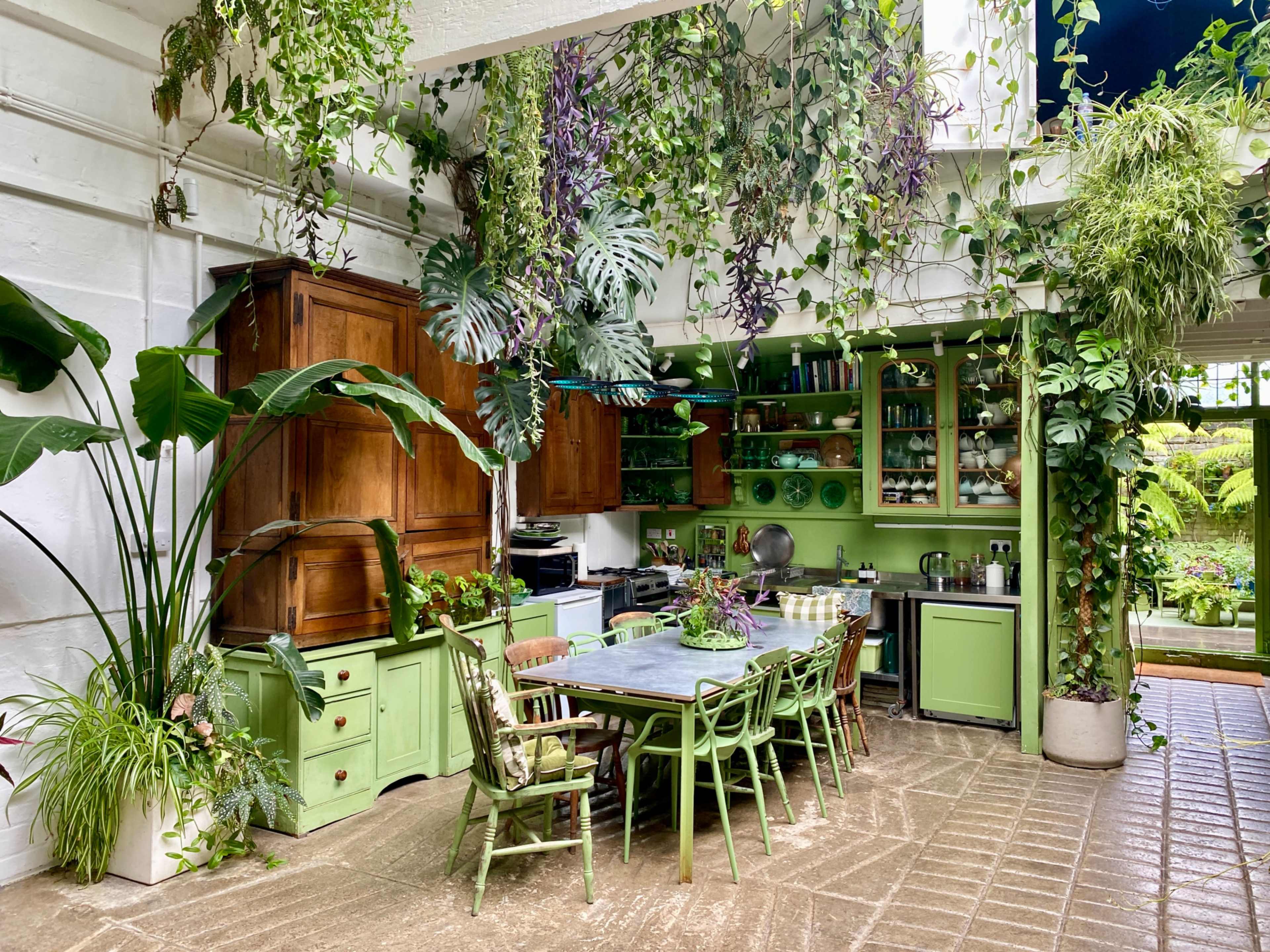 A kitchen filled with greenery, featuring wooden cabinetry, a dining table surrounded by chairs, and shelves lined with various dishes and plants.