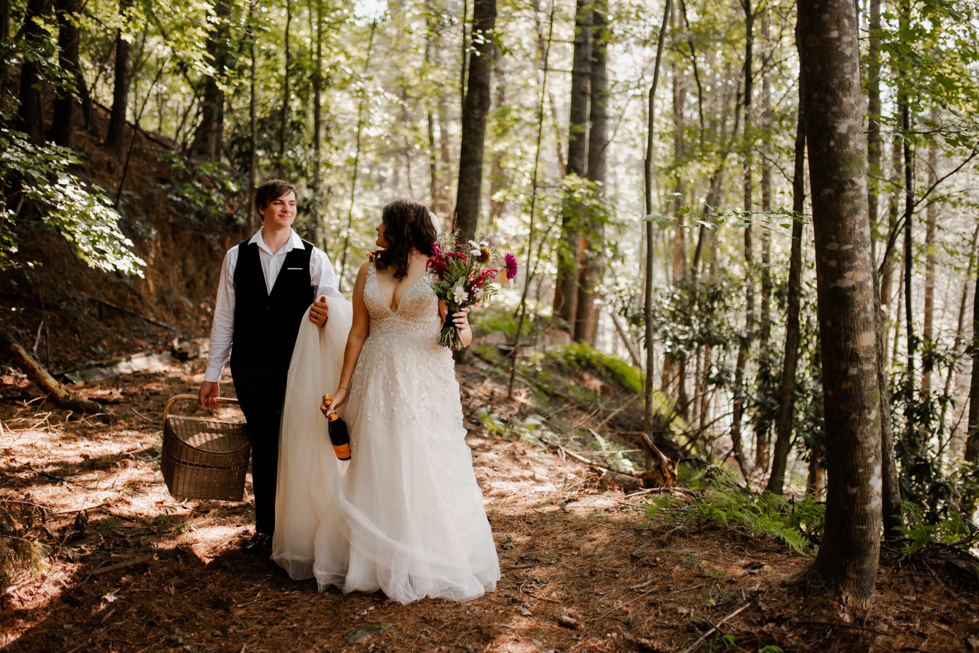 Bluffview Image in , Ellijay, GA