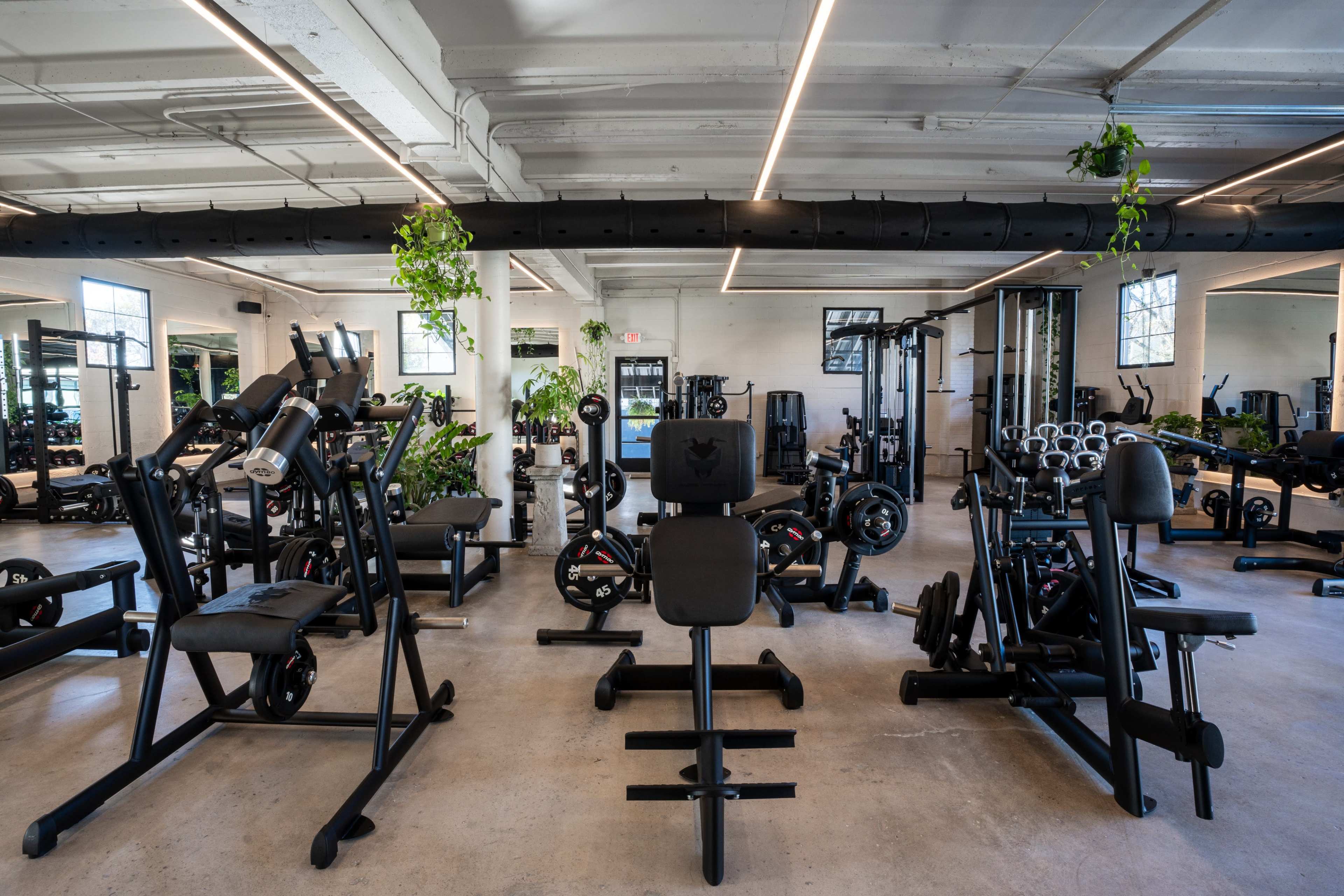 A spacious gym filled with various exercise equipment, including weight machines and free weights, arranged in a well-lit environment with greenery.