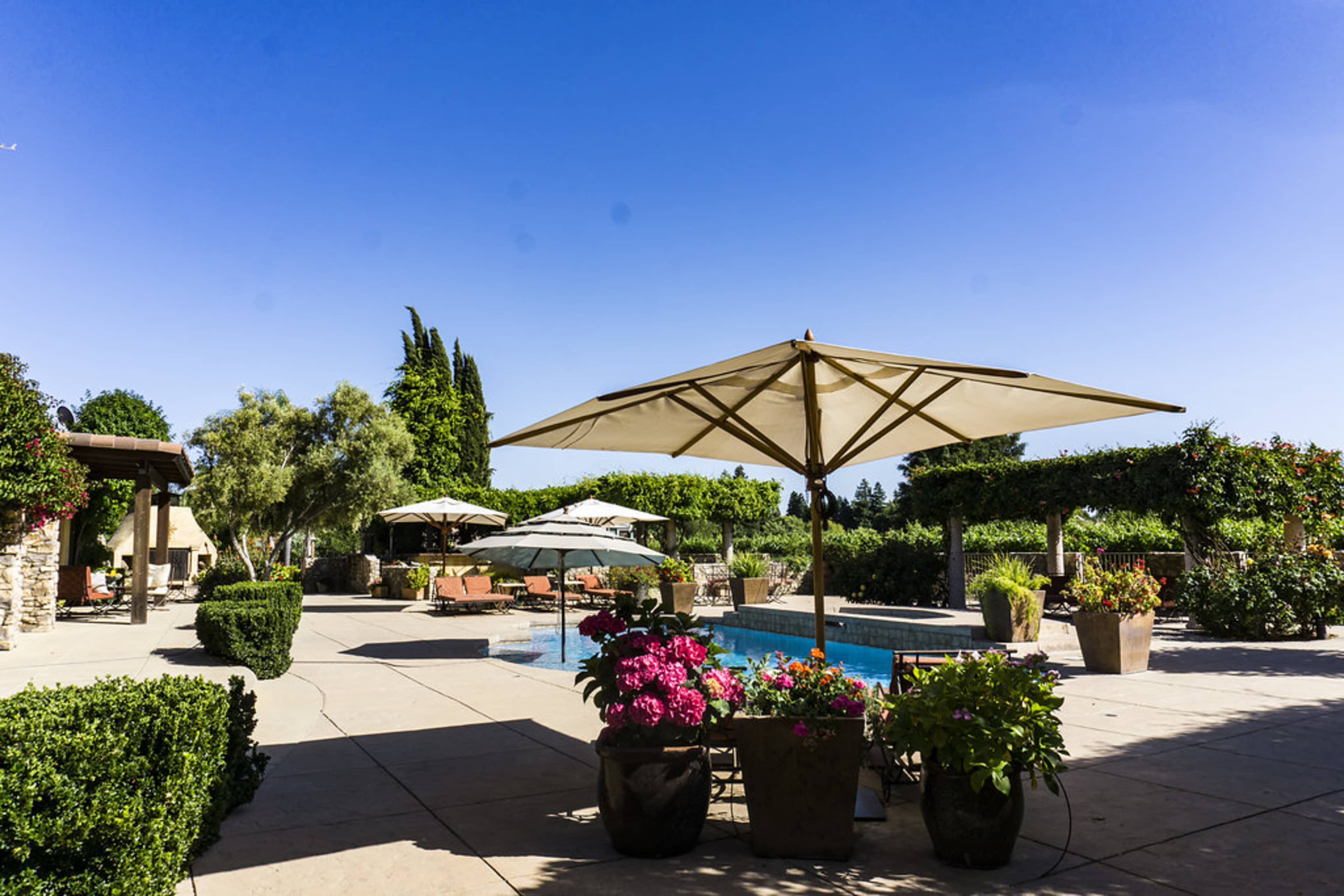 A landscaped outdoor area with a swimming pool, shaded by large umbrellas, surrounded by potted plants and a vineyard in the background.