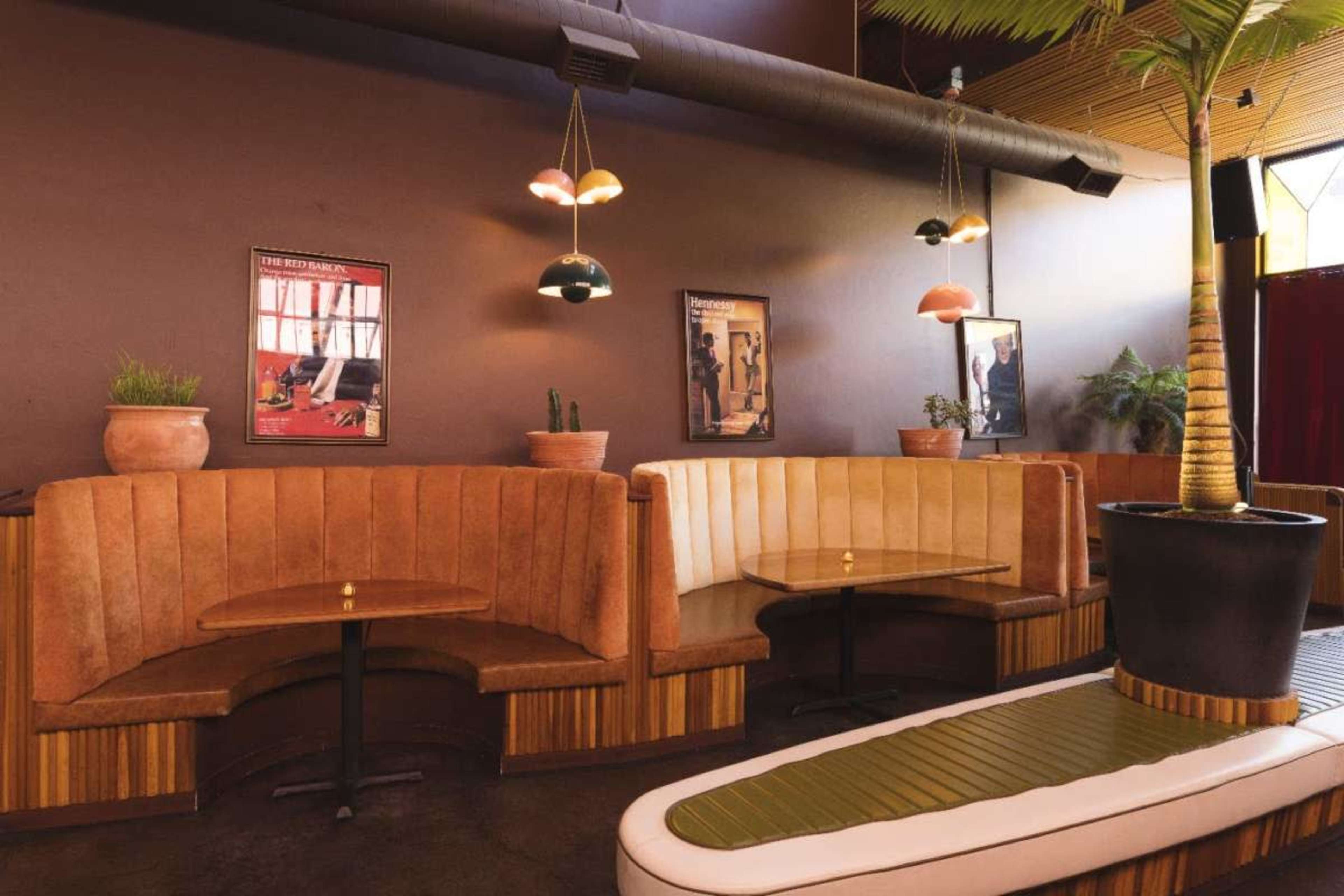 The image shows a stylish interior of a restaurant with curved booths, colorful pendant lights, and potted plants against a textured wall.