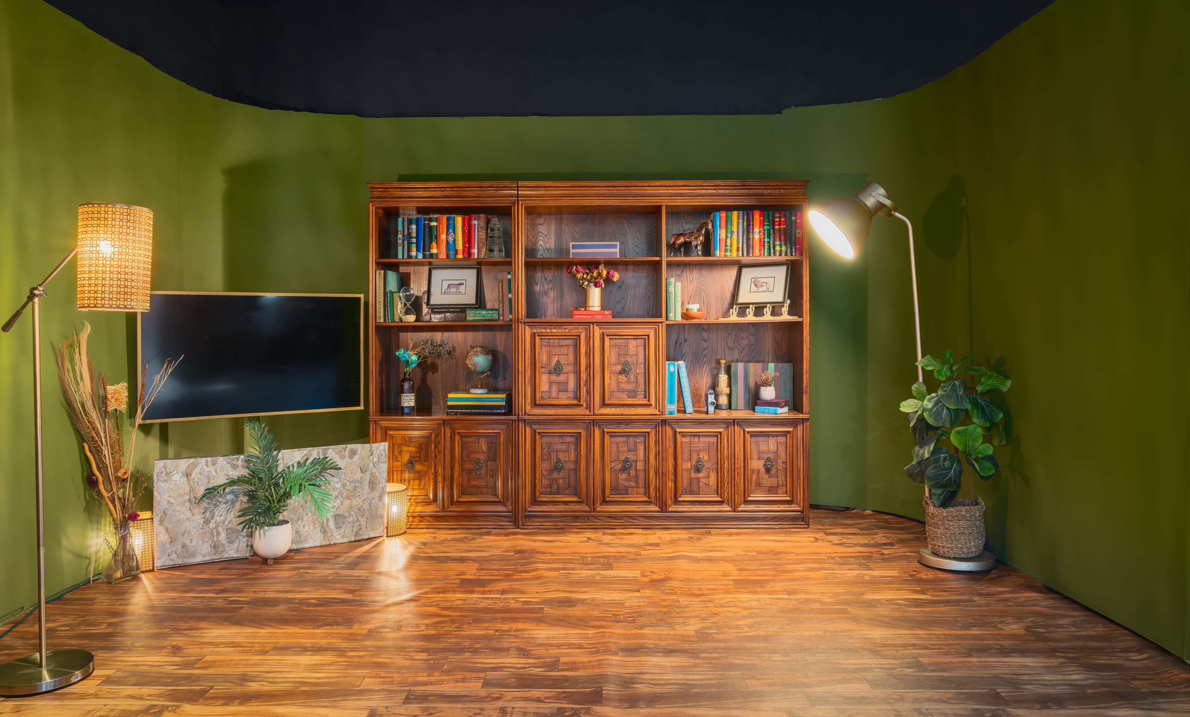 The scene features a wooden bookshelf filled with books and decorative items, positioned against a green wall, alongside a TV and a floor lamp in a well-lit room.