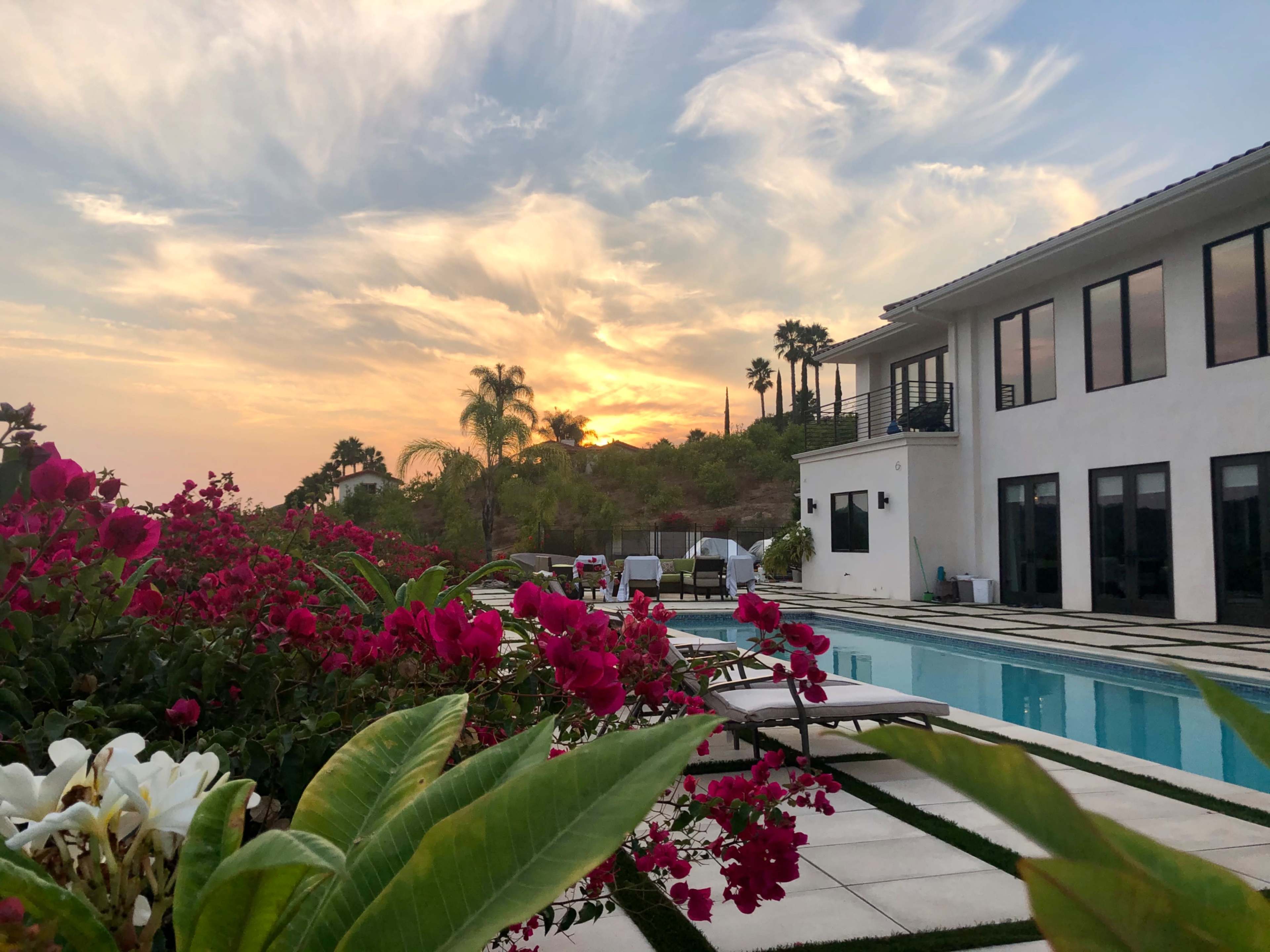 The image shows a modern white house beside a swimming pool, framed by blooming flowers and palm trees against a sunset sky.