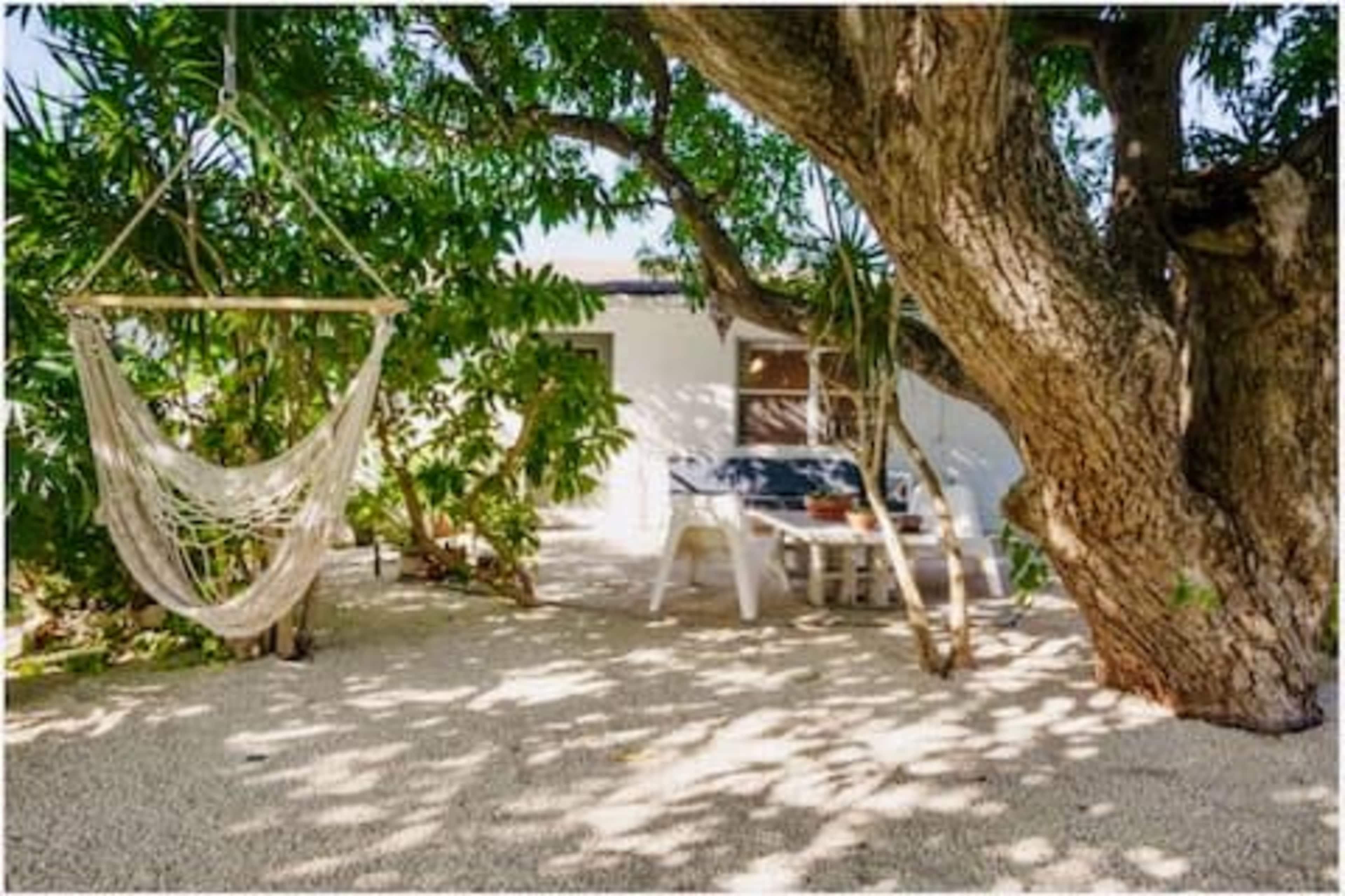 Creative Outdoor Oasis: A Inspiring Work Space for Innovation Image in Boynton Beach, Boynton Beach, FL