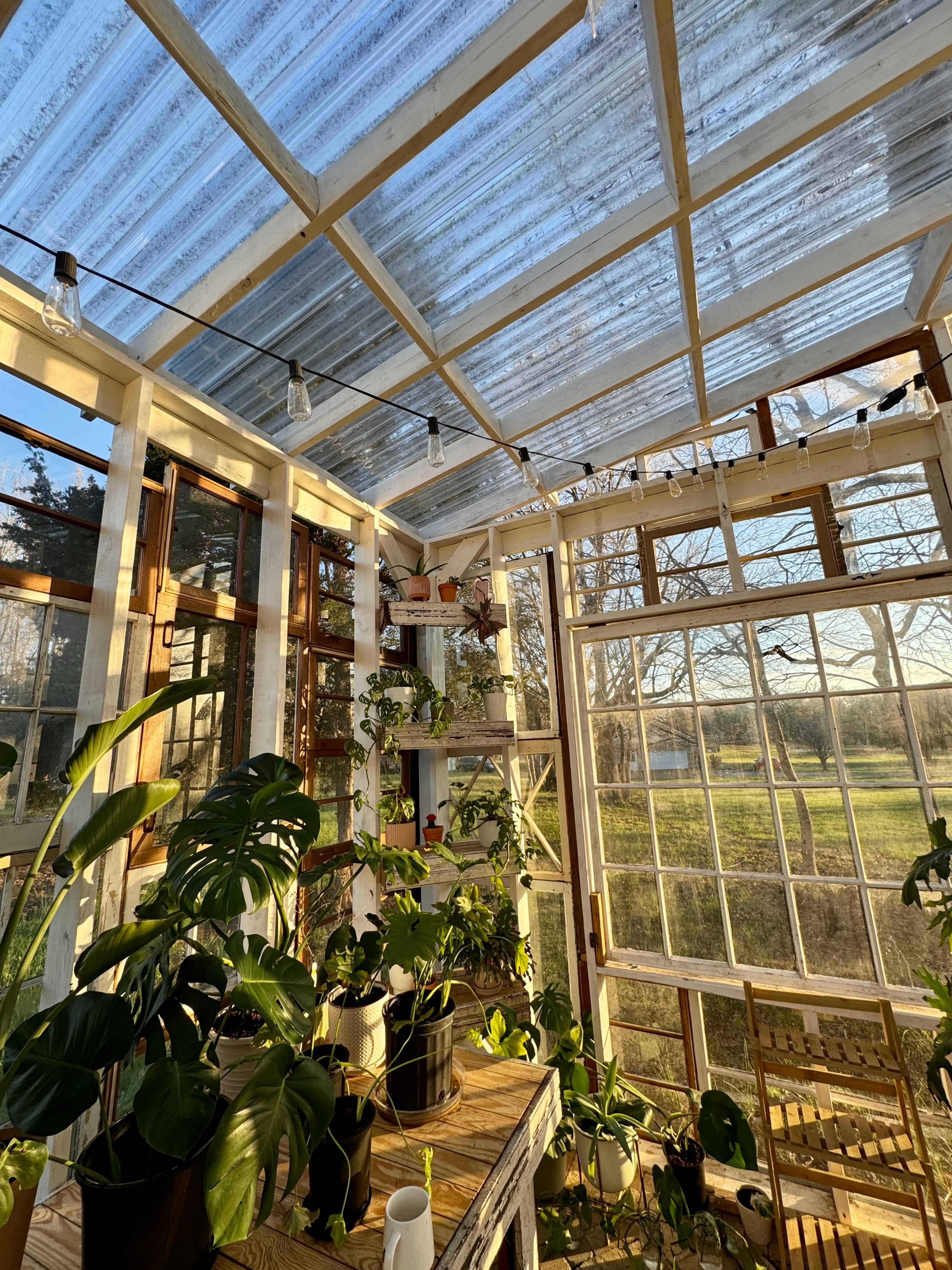 Coopertown Greenhouse Image in Coopertown, Springfield, TN