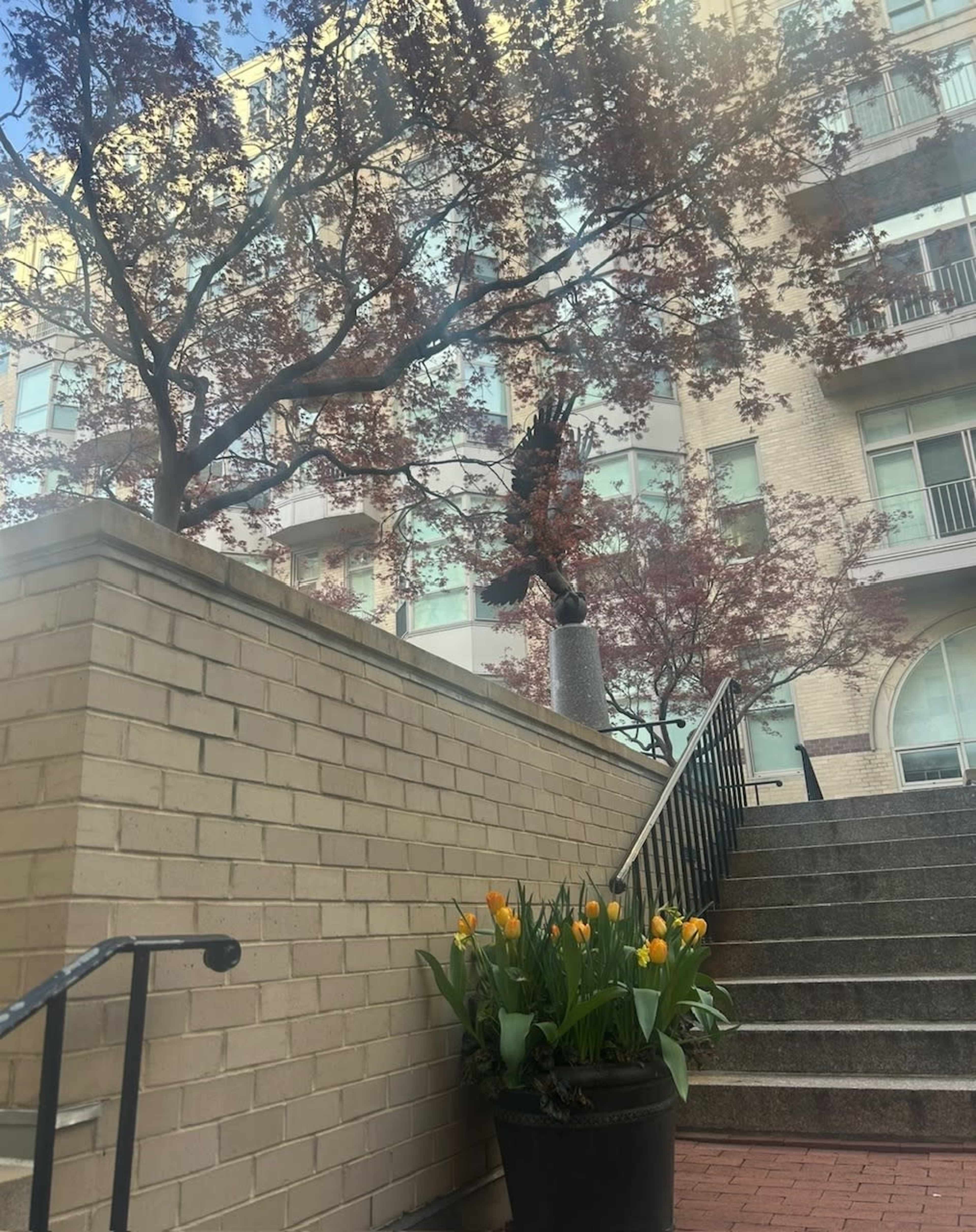 A bronze sculpture of an eagle is mounted on a stone pedestal amidst blooming tulips in a planter, with an apartment building and trees in the background.