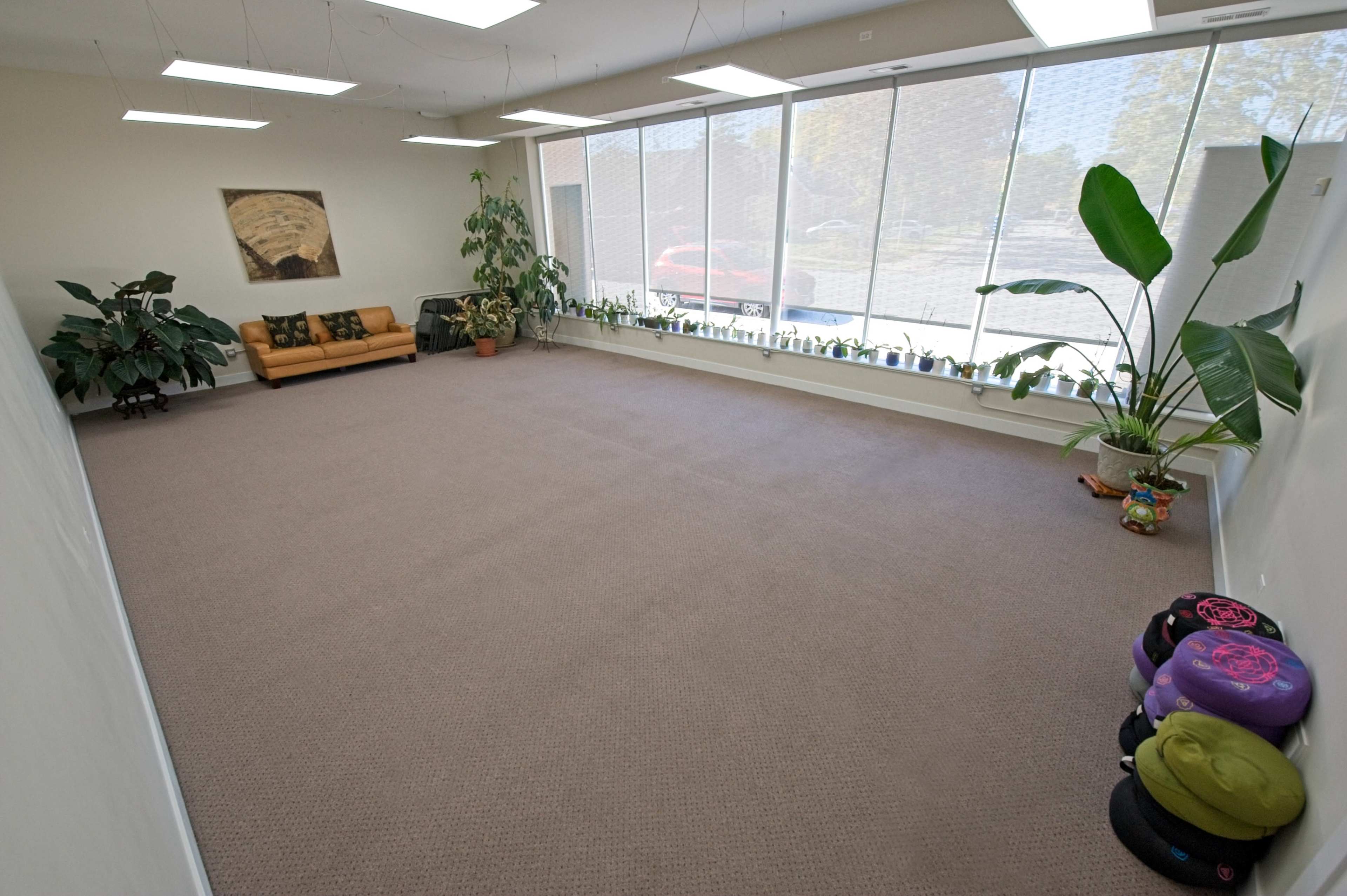 The image shows a spacious, well-lit room with large windows, a beige carpet, several potted plants, a brown couch, and colorful cushions neatly arranged on the floor.