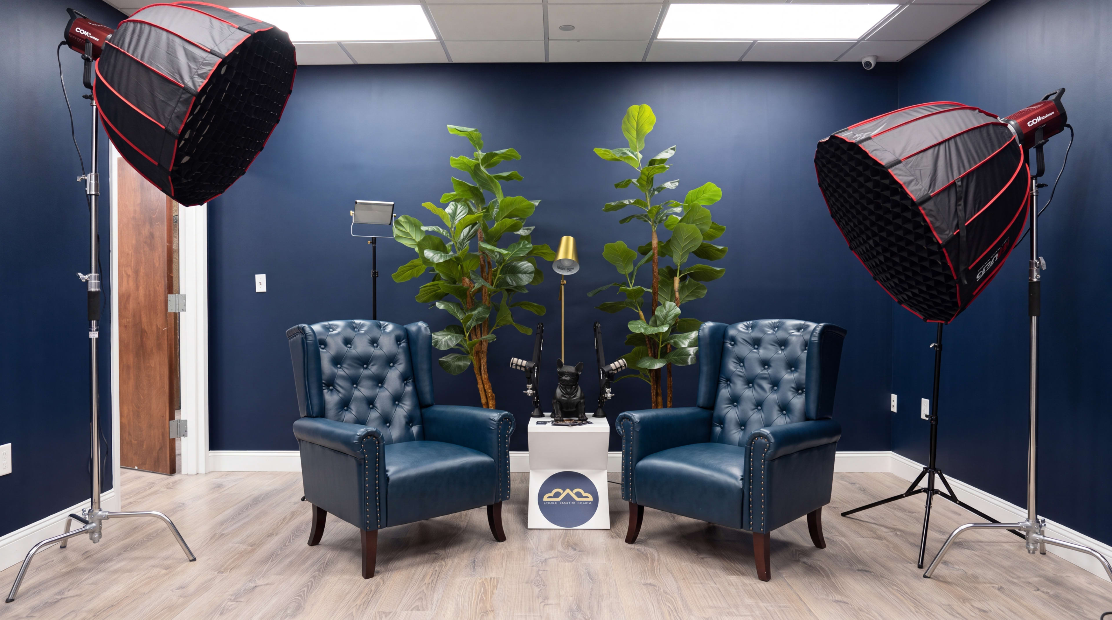 The image shows a modern indoor setup with two blue armchairs facing each other, surrounded by tall green plants and brightly lit by three softbox lights.