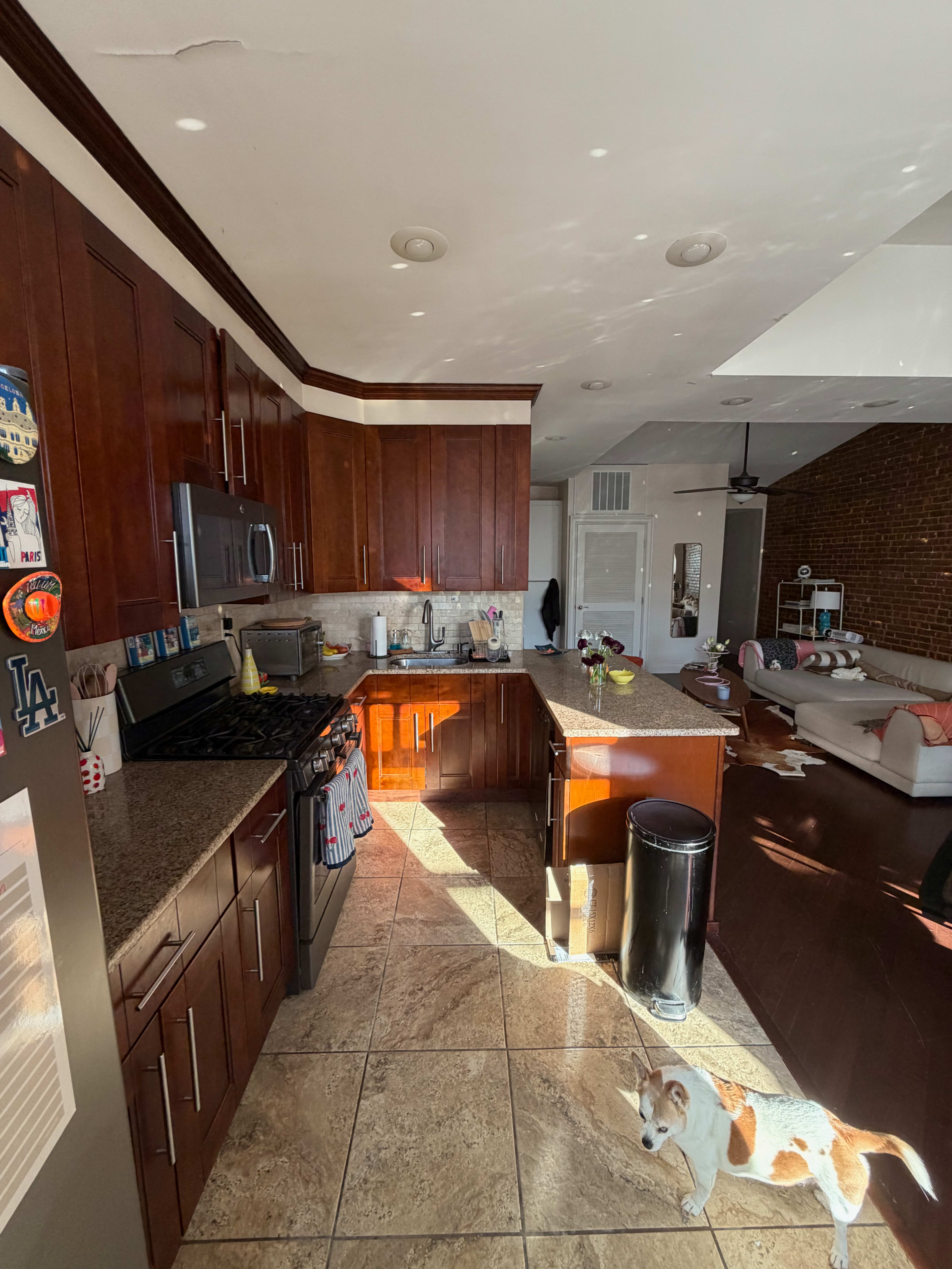 The image shows a modern kitchen with dark wooden cabinetry, stainless steel appliances, and a tiled floor, adjacent to a living area with a couch and a dog on the floor.