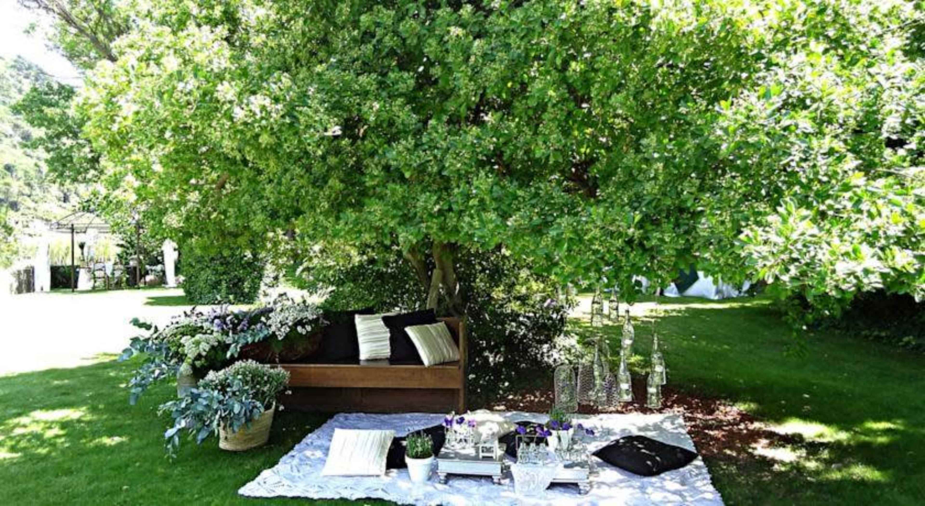 A wooden bench with cushions is positioned under a large tree, surrounded by various plants and decorative items on a white blanket on the grass.