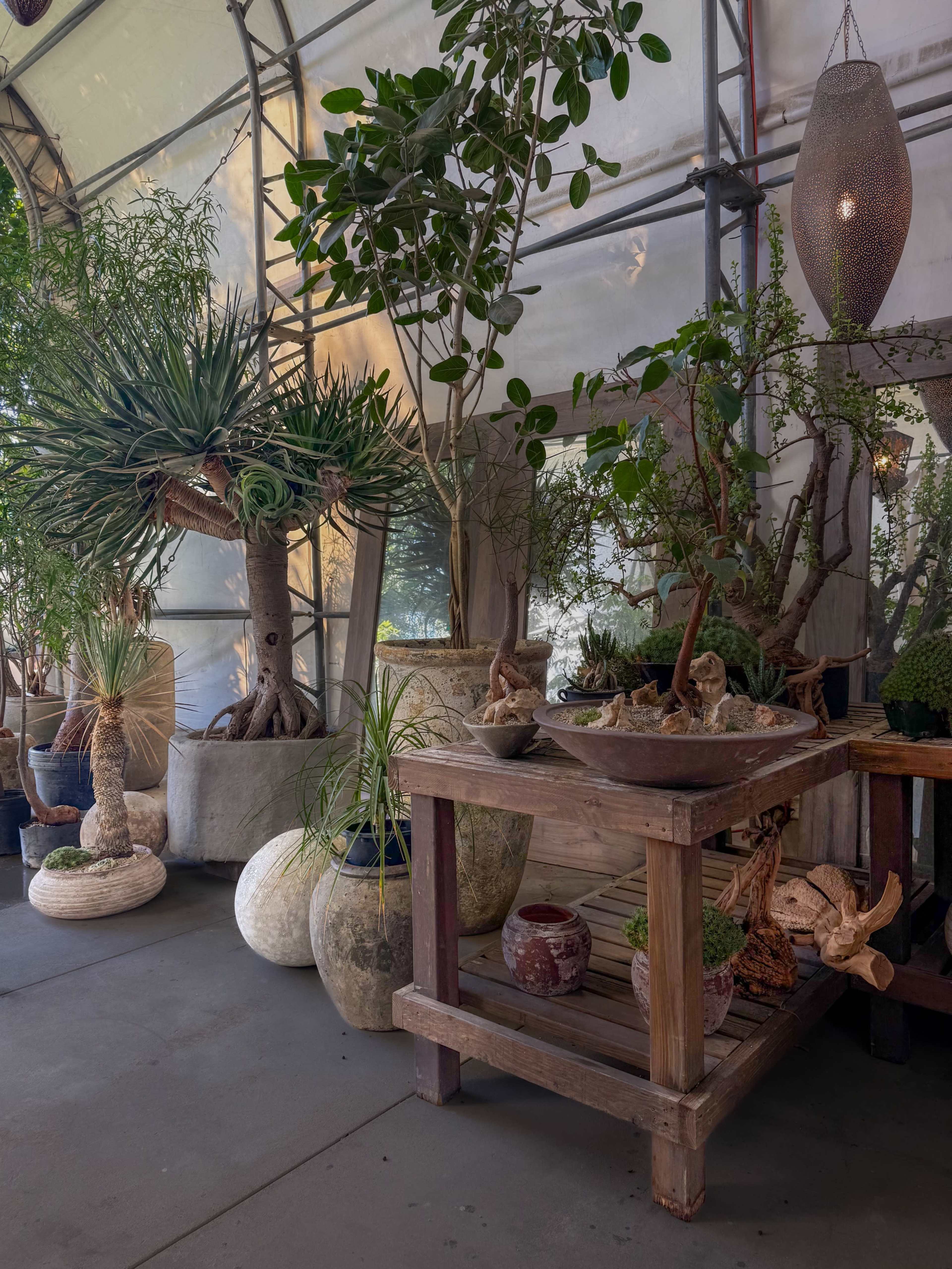 Plant-Filled Greenhouse with Outdoor Gathering Area Image in East Irvine, Irvine, CA