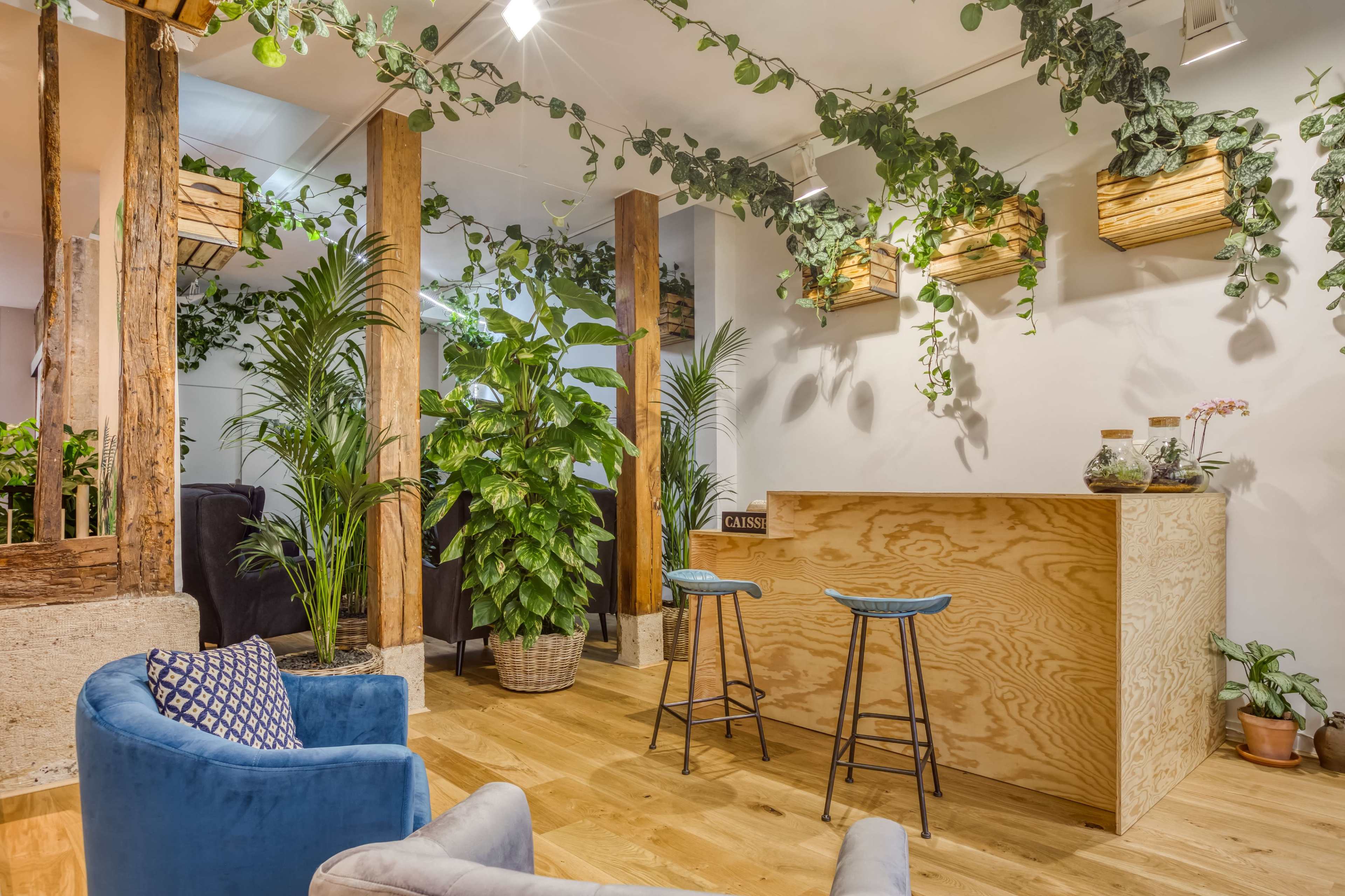A cozy indoor space featuring wooden accents, various plants, and a small bar area with stools.