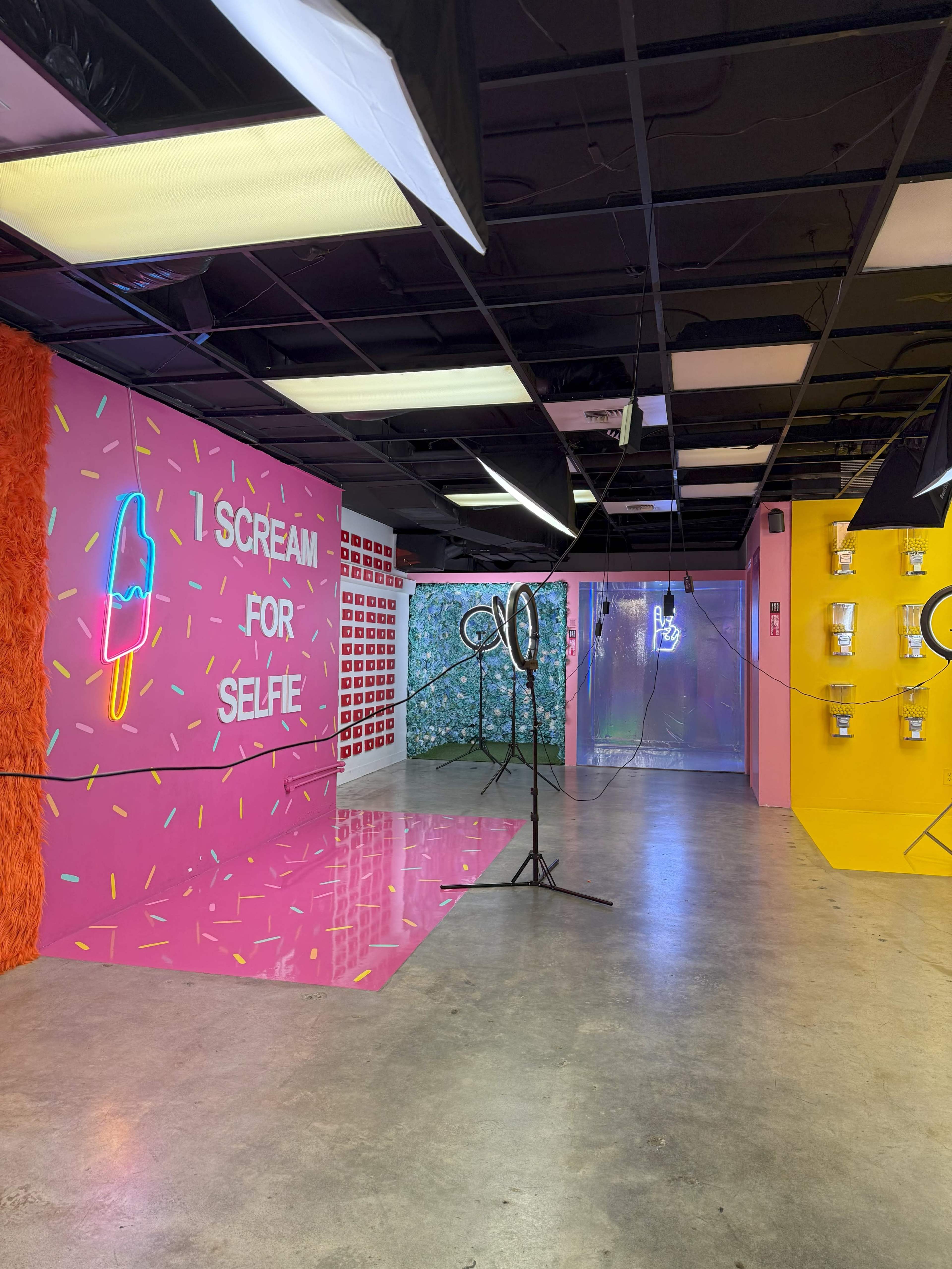 Vibrant 3,500 SF Interactive Selfie Museum - Perfect for Content Creation & Events Image in Downtown Seattle, Seattle, WA