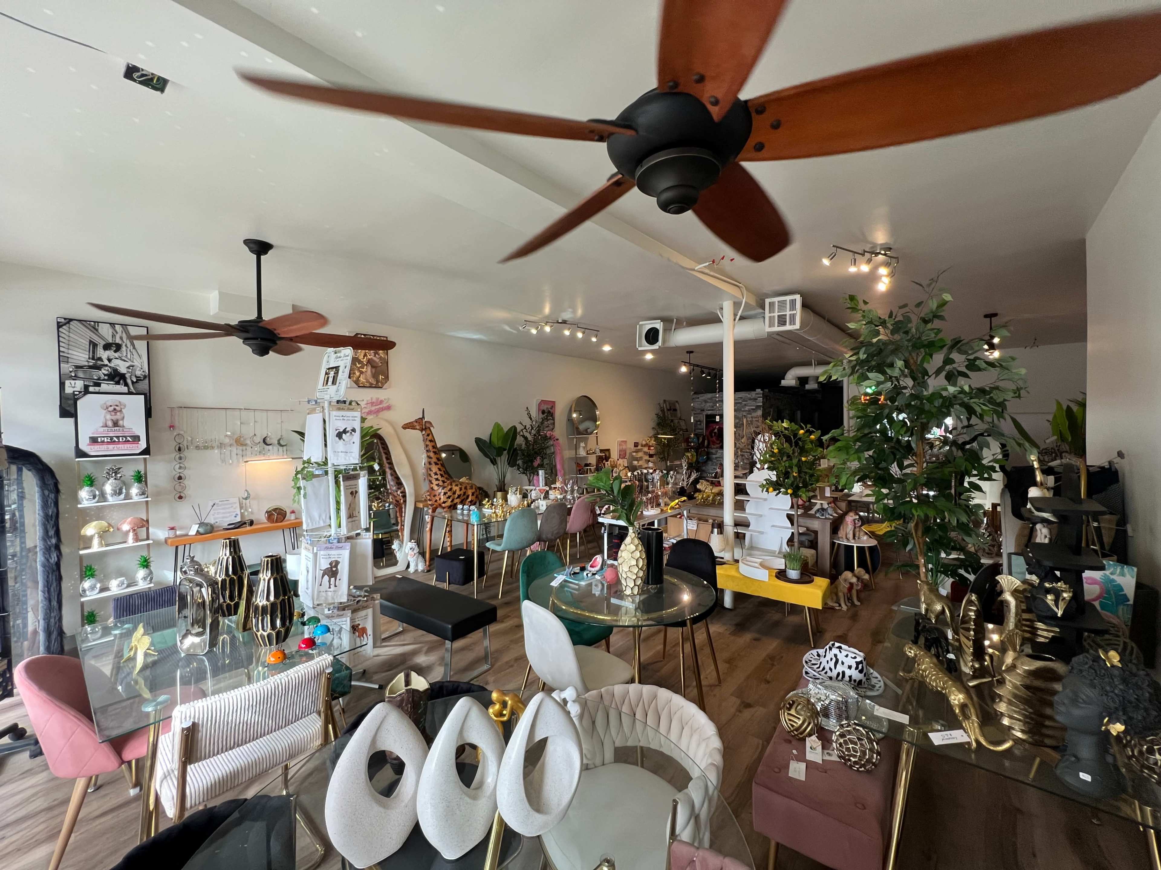 The image shows a boutique interior filled with various decorative items, furniture, and greenery, featuring multiple tables and ceiling fans.