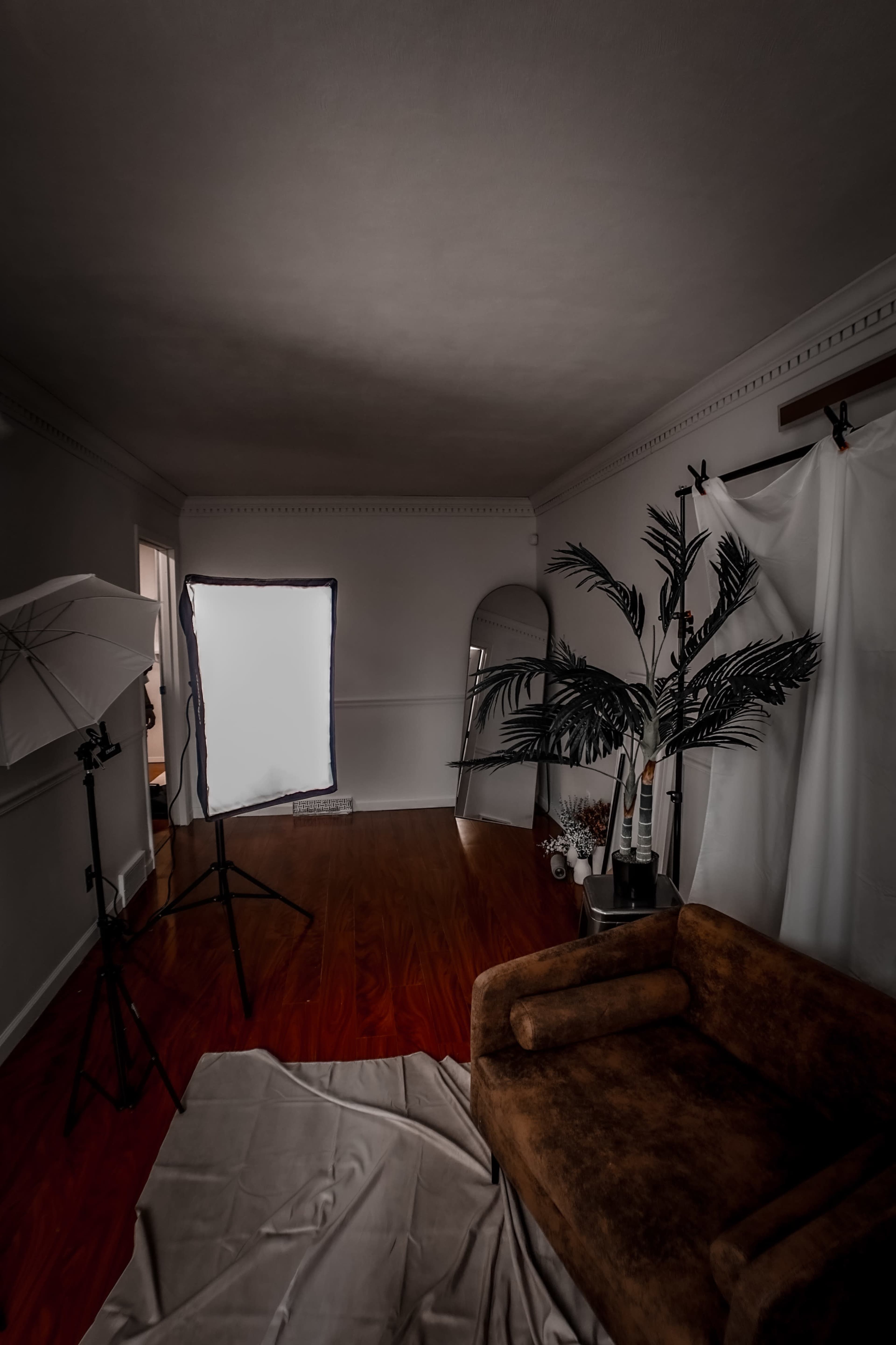 The image shows a sparse room with a brown couch, a large mirror, a standing light setup, and a potted plant, all set against white walls and a hardwood floor.