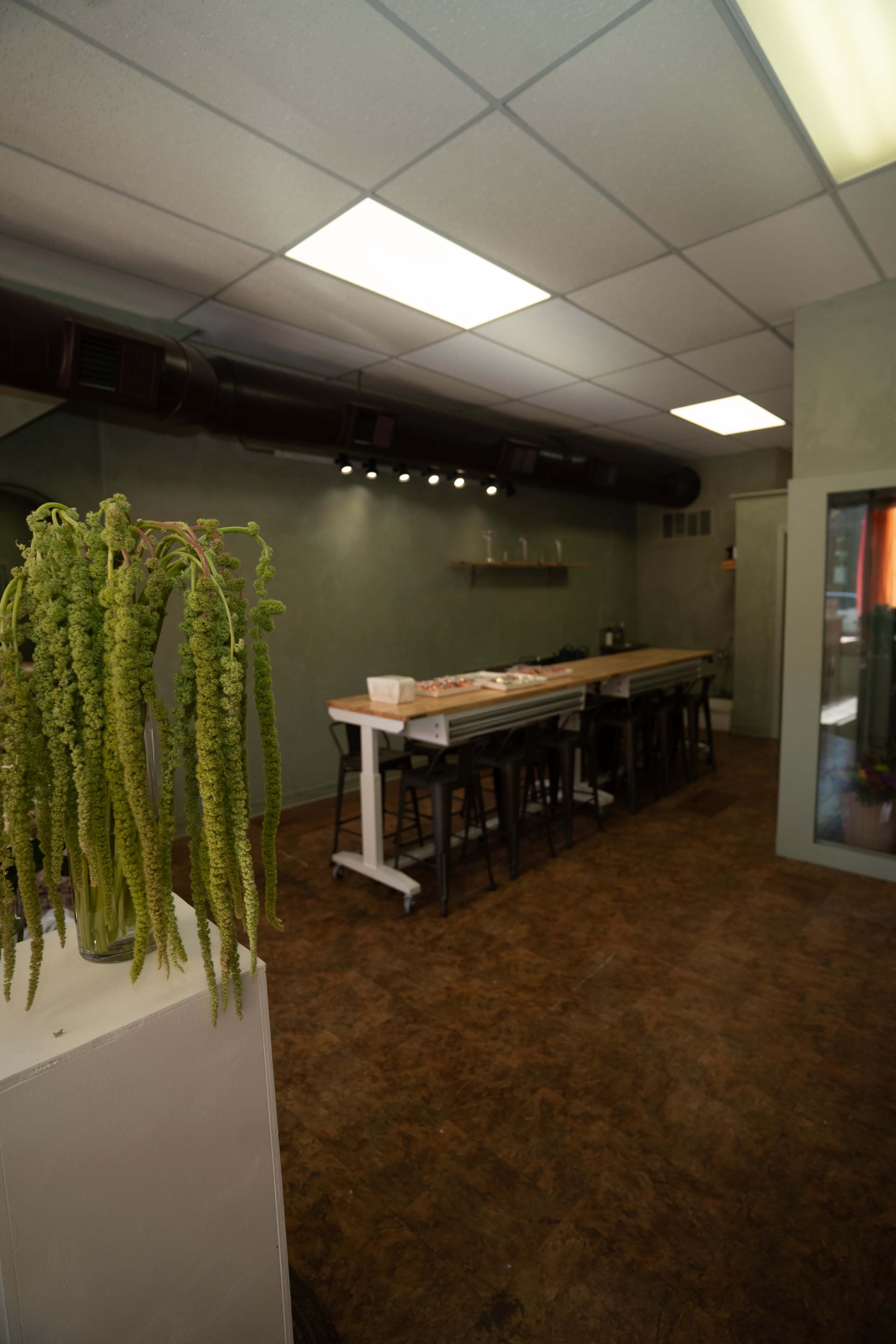 The image shows a modern kitchen space with a long wooden table and black stools, adorned with hanging green plants.