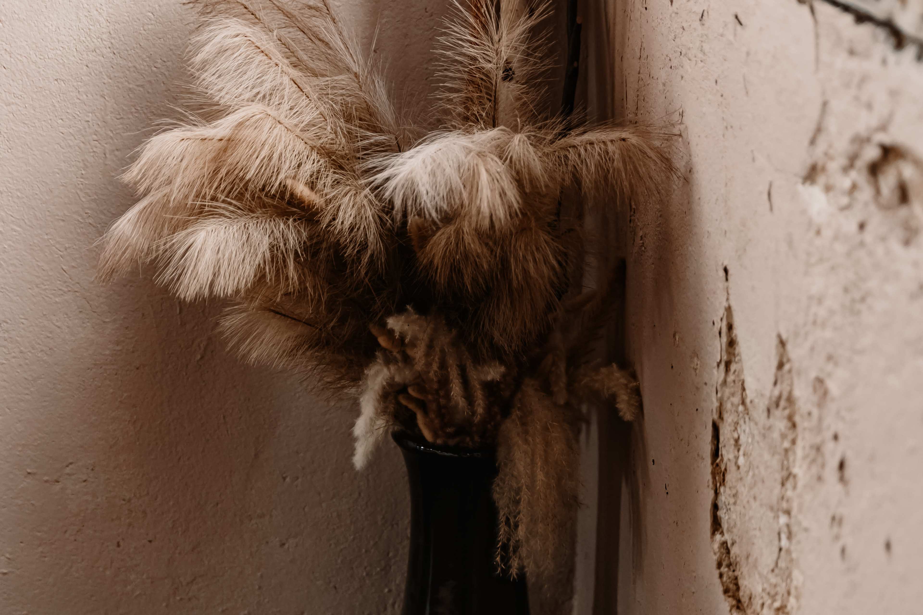 A bouquet of dried grasses is arranged in a dark vase against a textured wall.