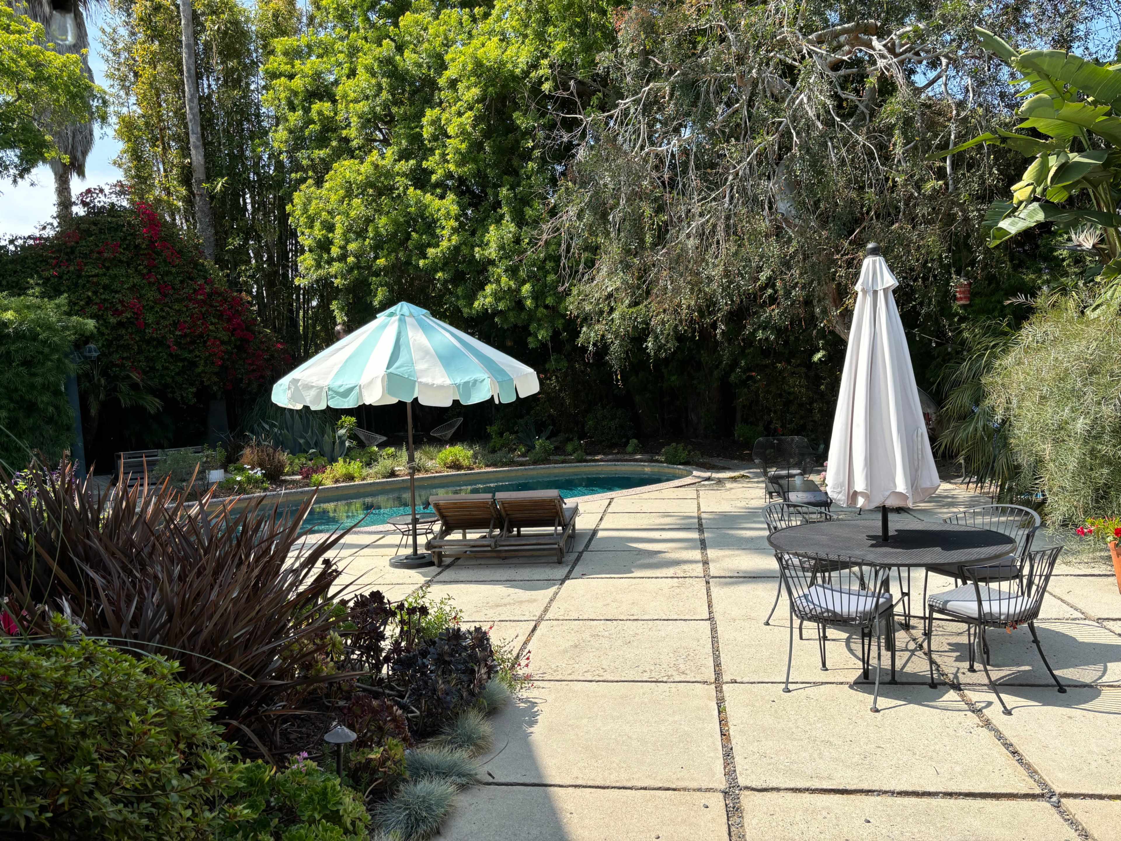 Big, lush Venice backyard with pool Image in Venice, Venice, CA
