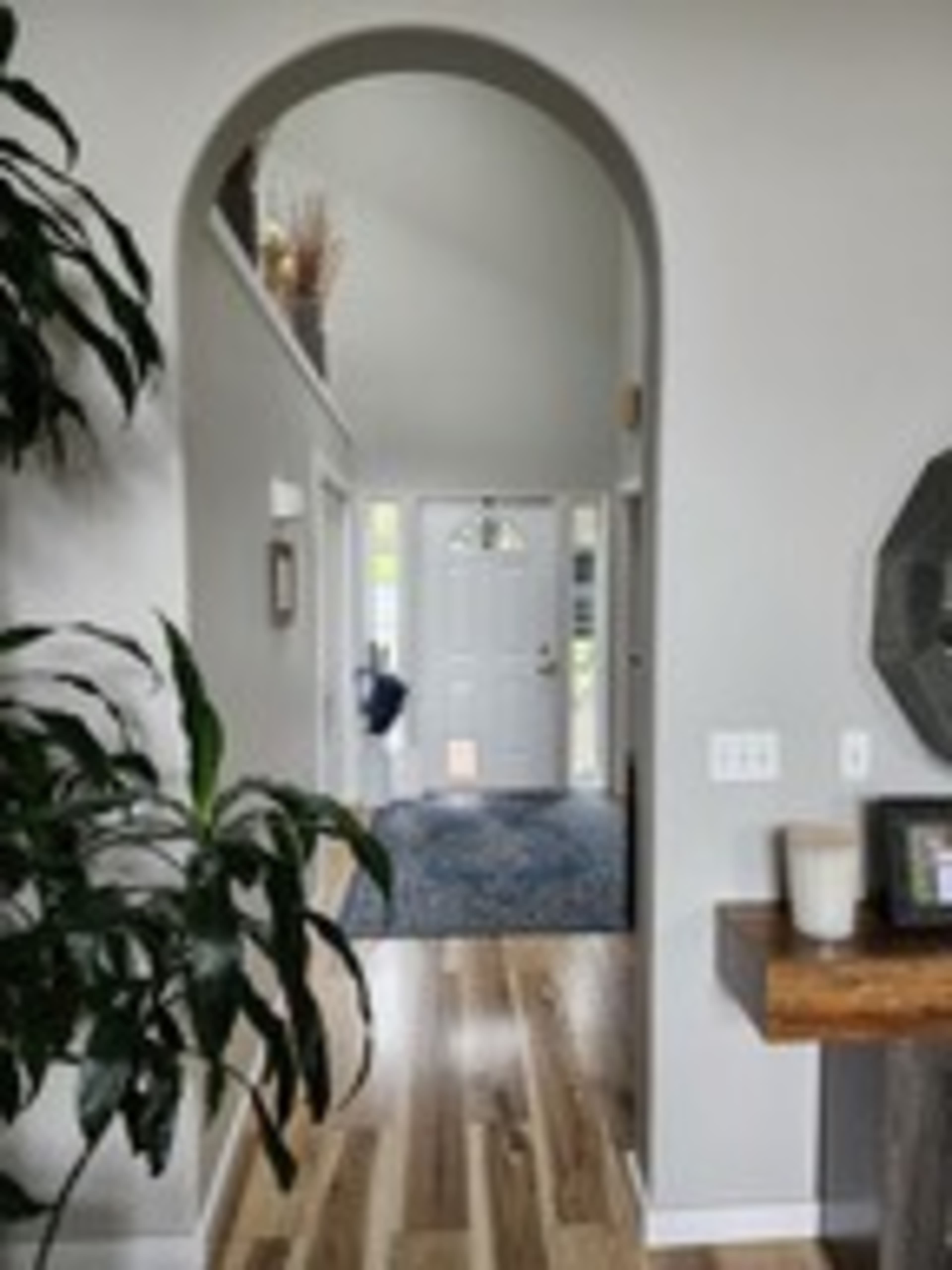 A light-gray hallway features an arched entrance leading to a front door, with a potted plant and wooden table visible in the foreground.
