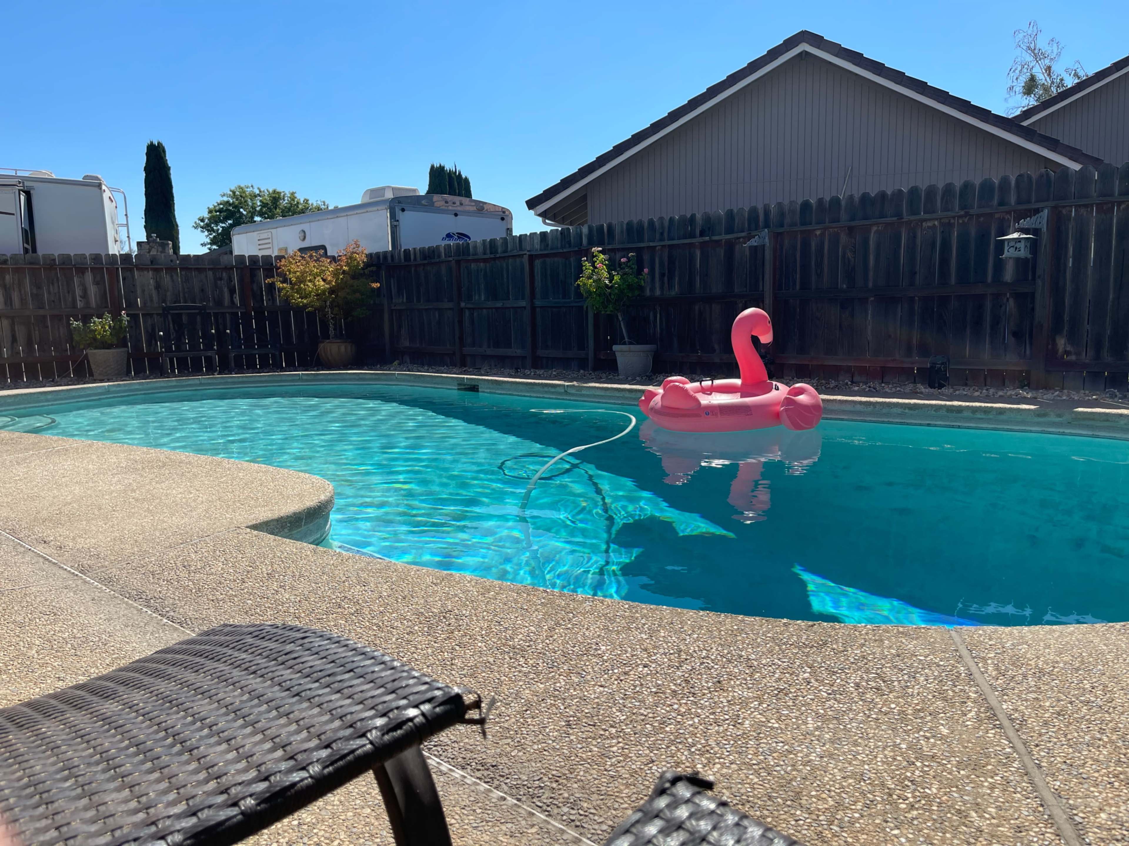 A pink flamingo-shaped pool float is anchored in a clear blue swimming pool surrounded by a patio and wooden fence.