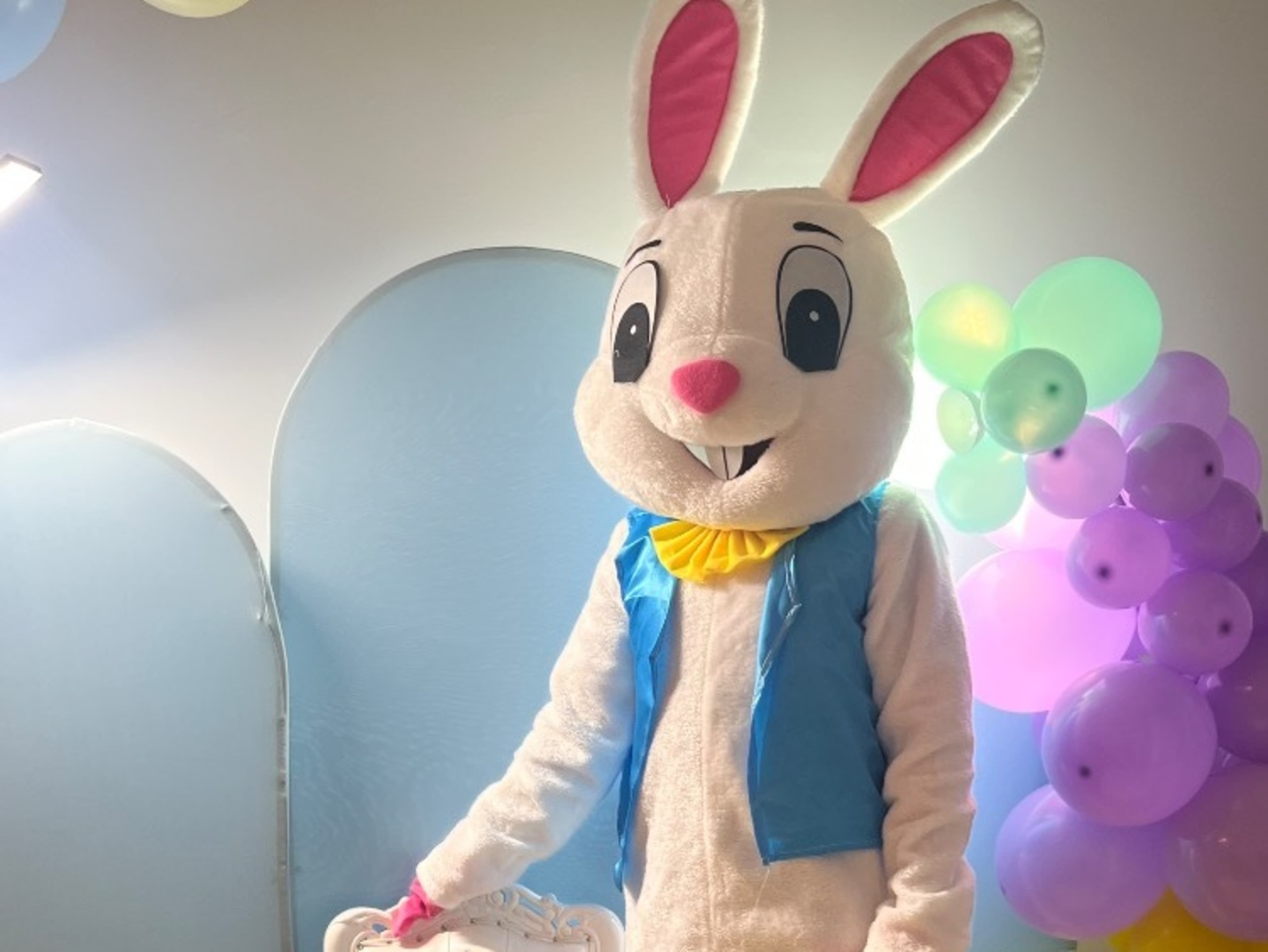 Bunny Rabbit