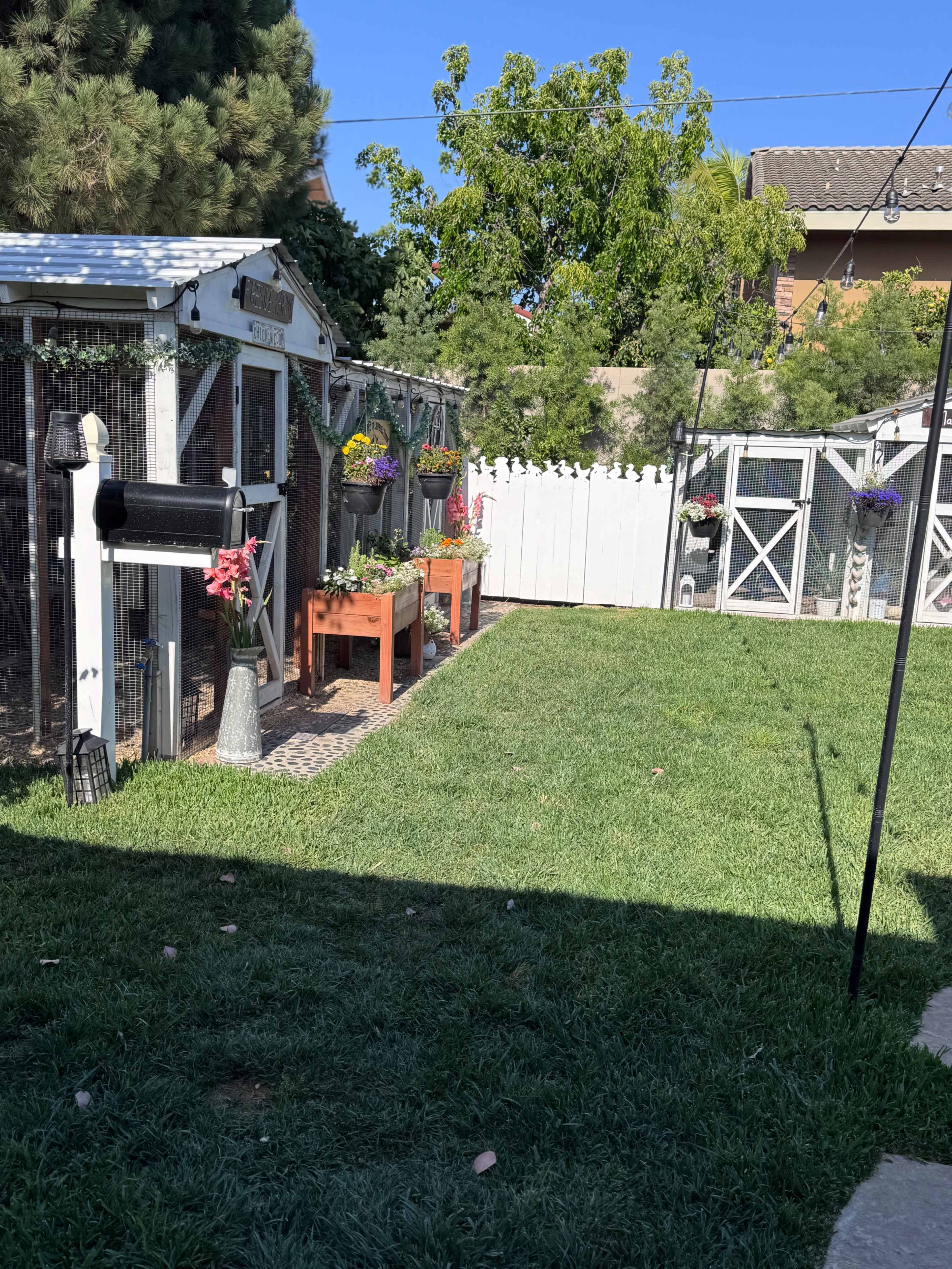 The image shows a backyard with a neatly maintained lawn, a garden shed, planter boxes with flowers, and a white fence.