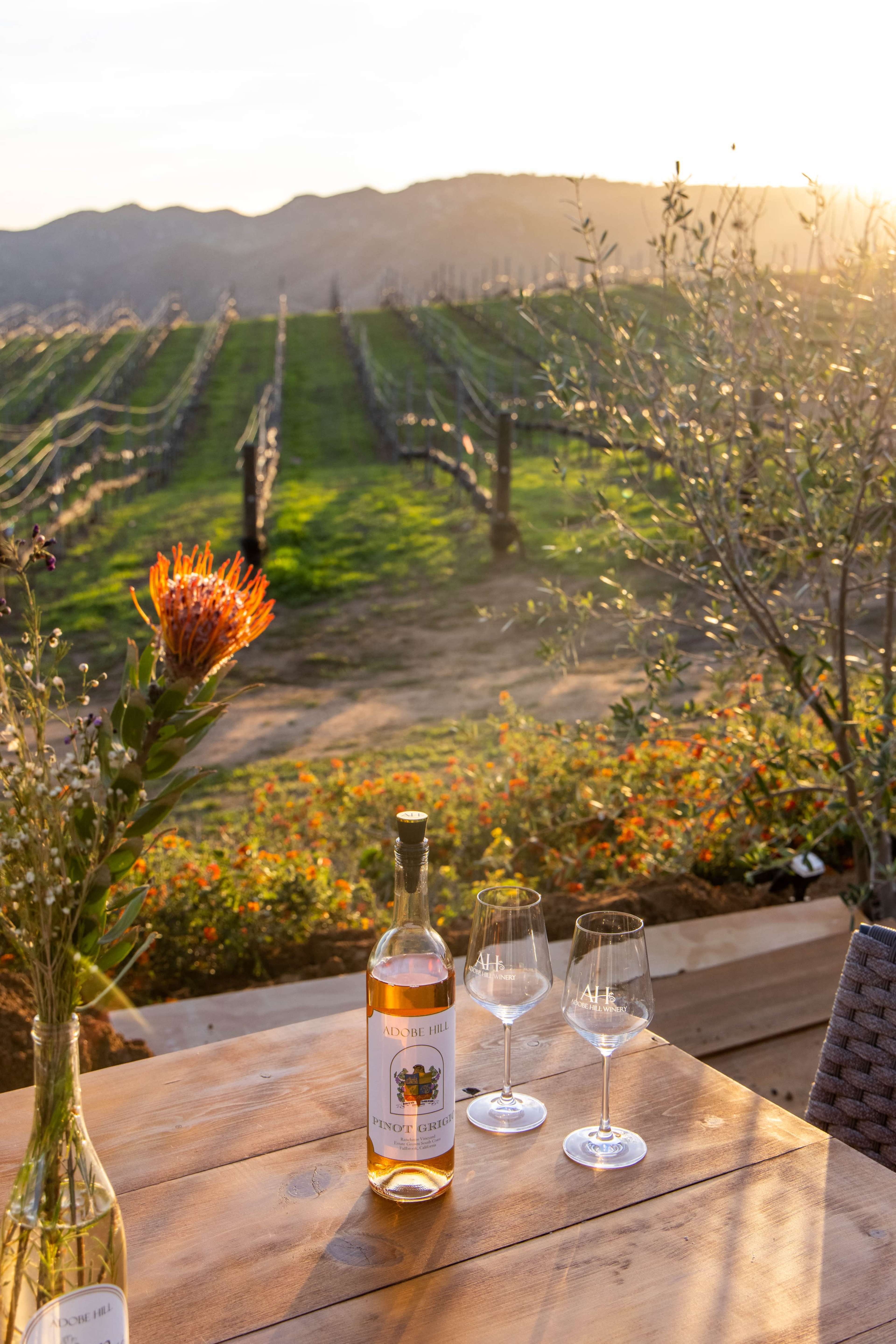 Hidden Vineyard Paradise: Tranquil Hillside Retreat Image in , Fallbrook, CA