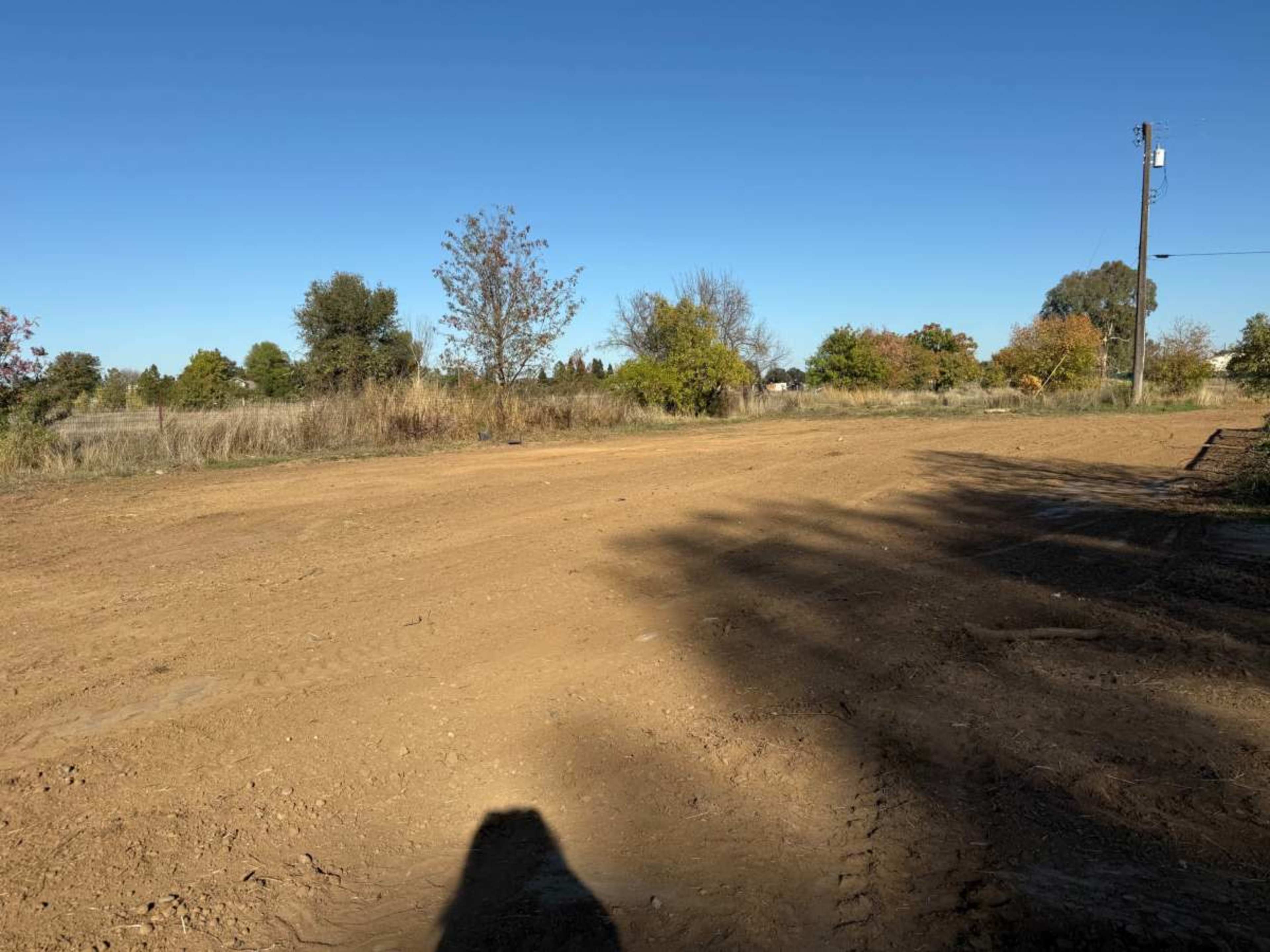 The image shows a cleared dirt area surrounded by sparse trees and vegetation under a clear blue sky.