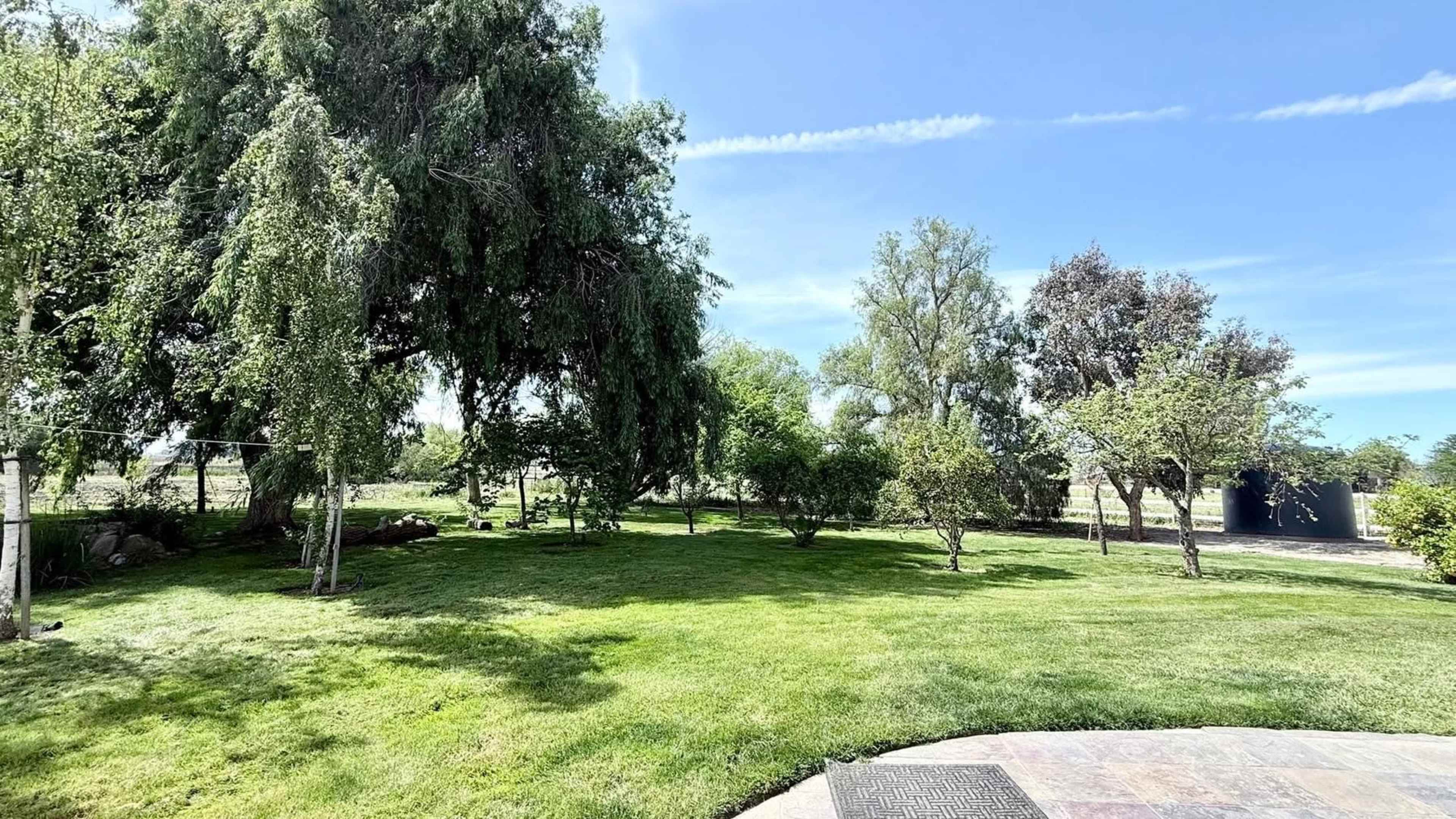 The image shows a grassy yard with several trees and a clear sky in the background.
